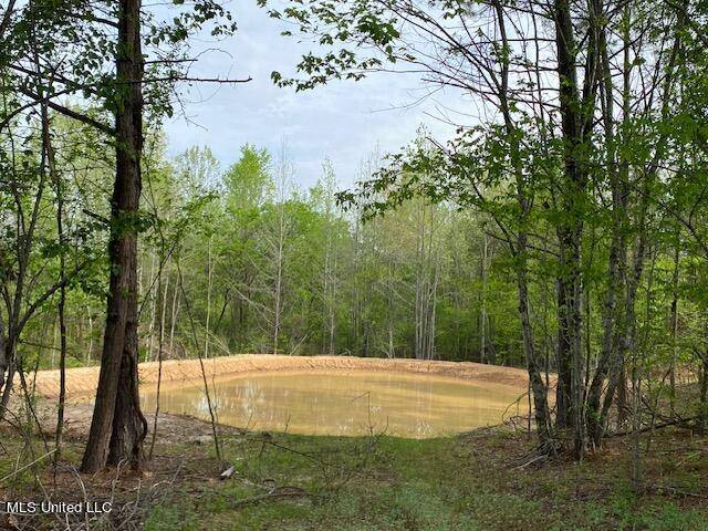 Byhalia, MS 38611,108 Shinault Road