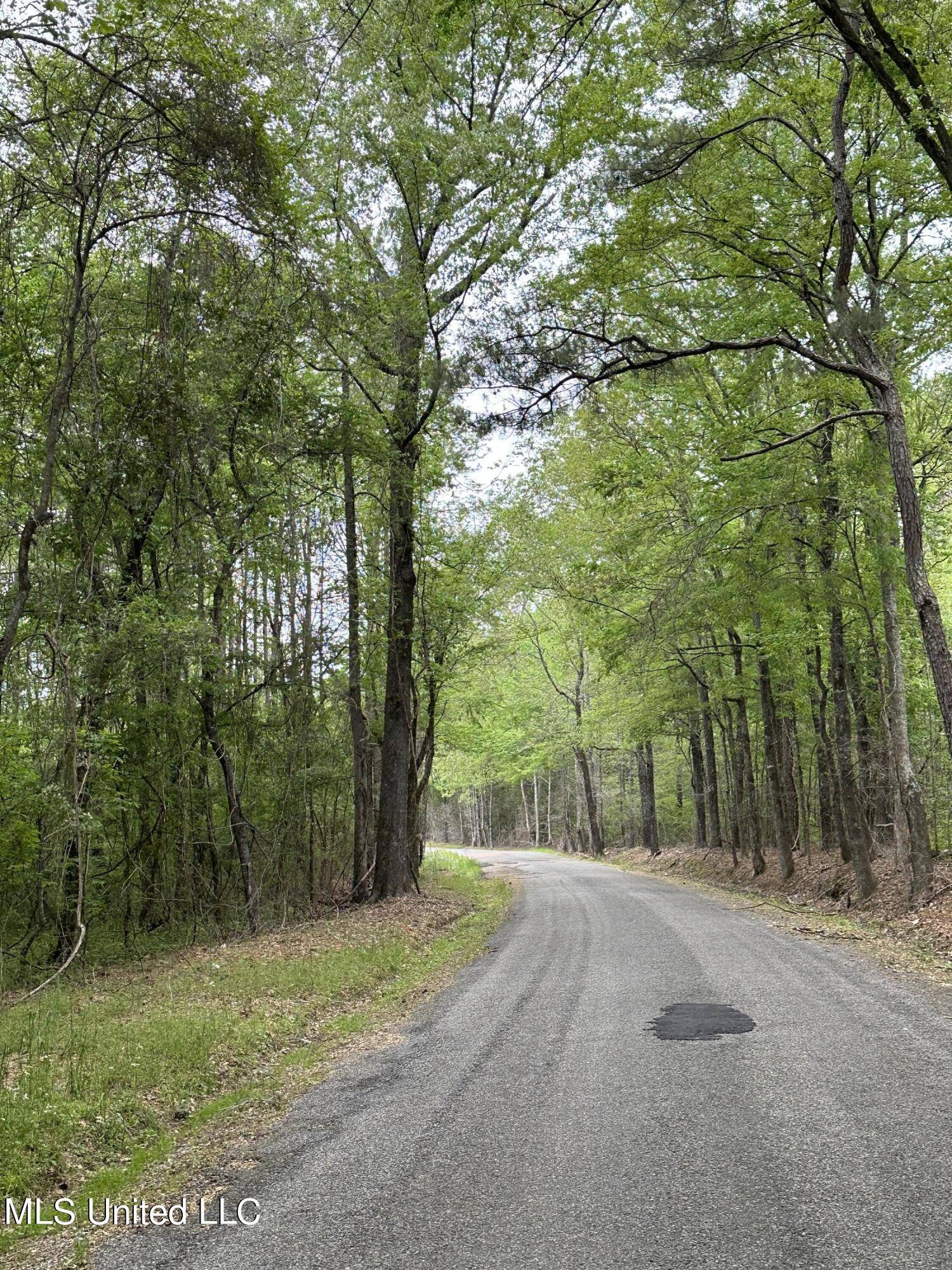 Lena, MS 39094,Lone Pine Church Road