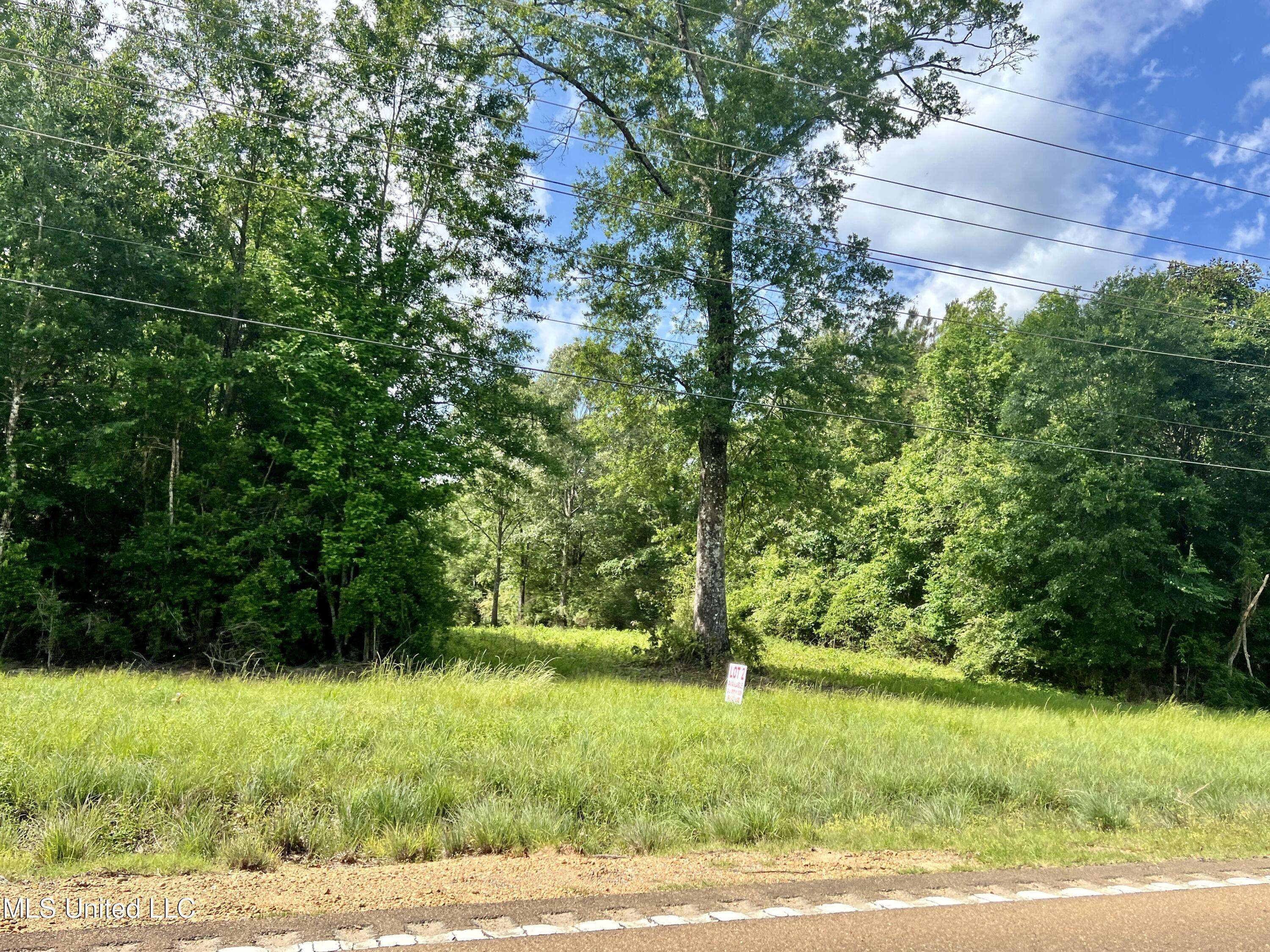 Centreville, MS 39631,Lot 1 Highway 24