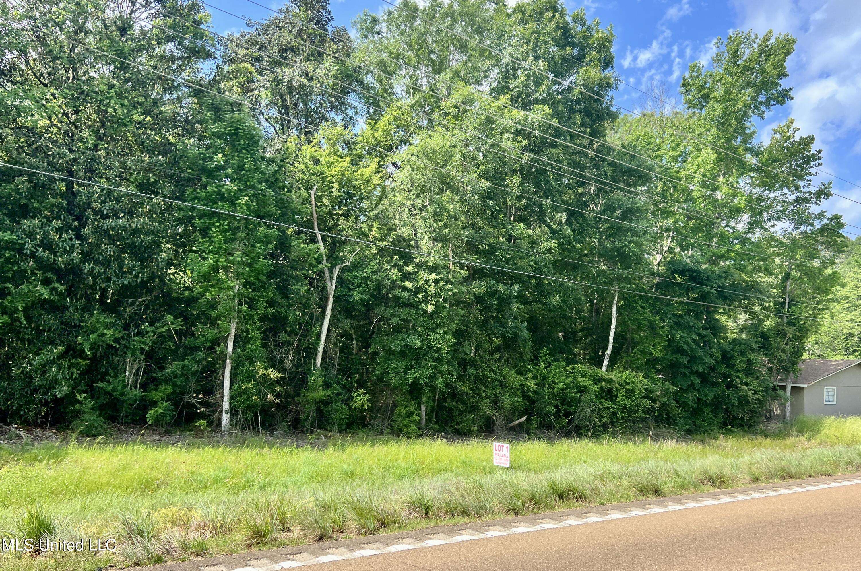 Centreville, MS 39631,Lot 1 Highway 24