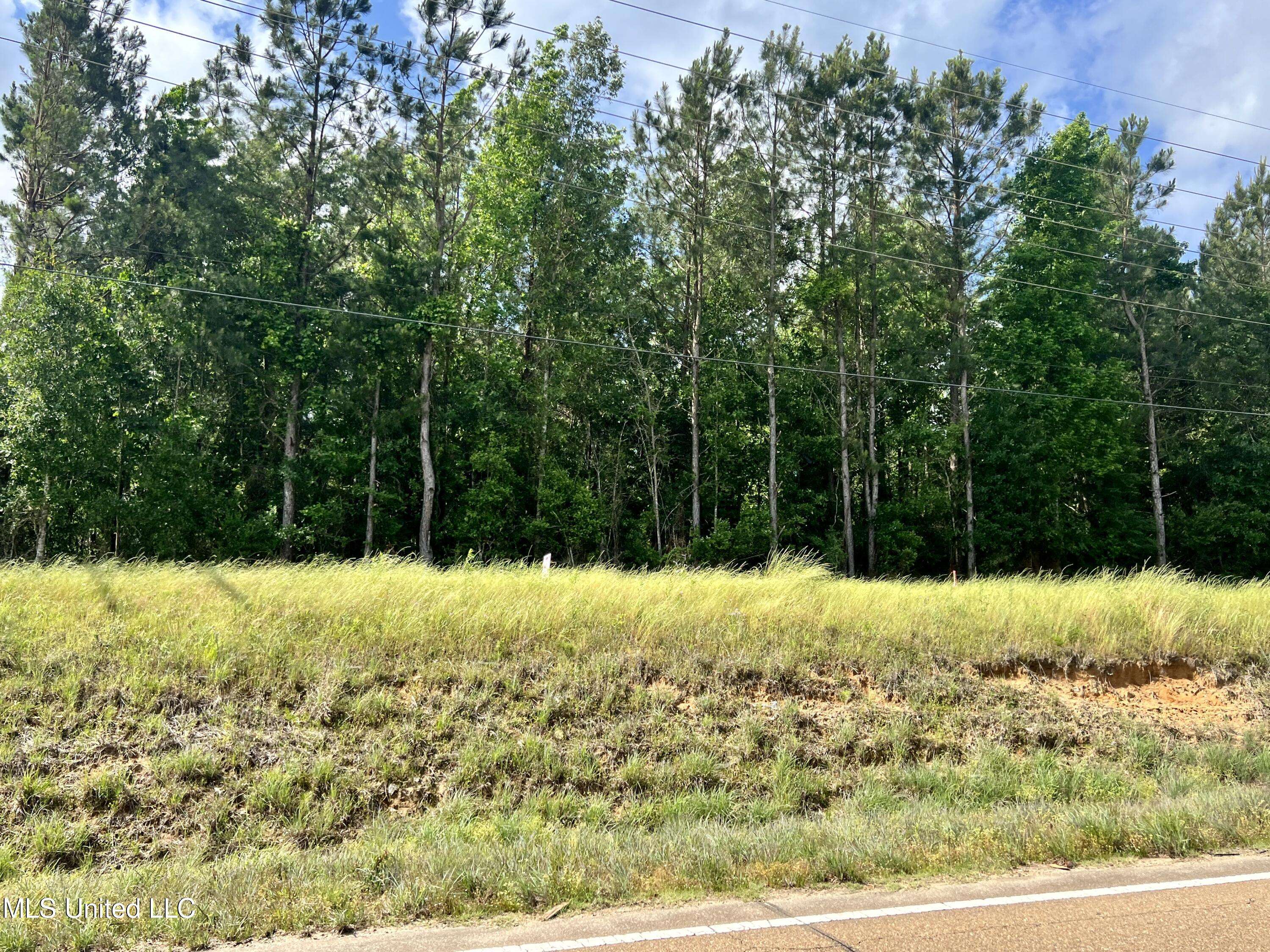 Centreville, MS 39631,Lot 6 Hwy 24