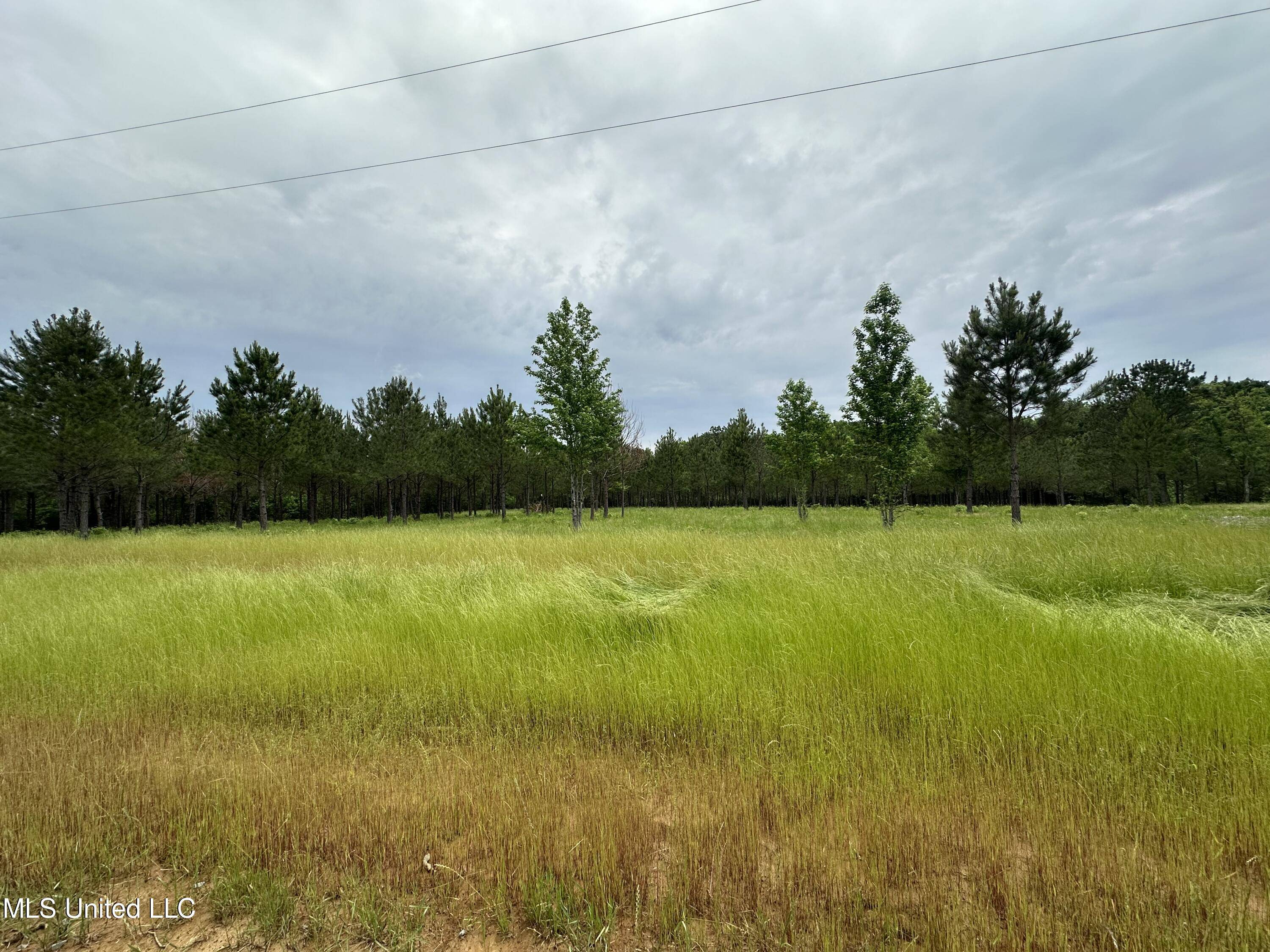 Canton, MS 39046,Stout Farms Drive