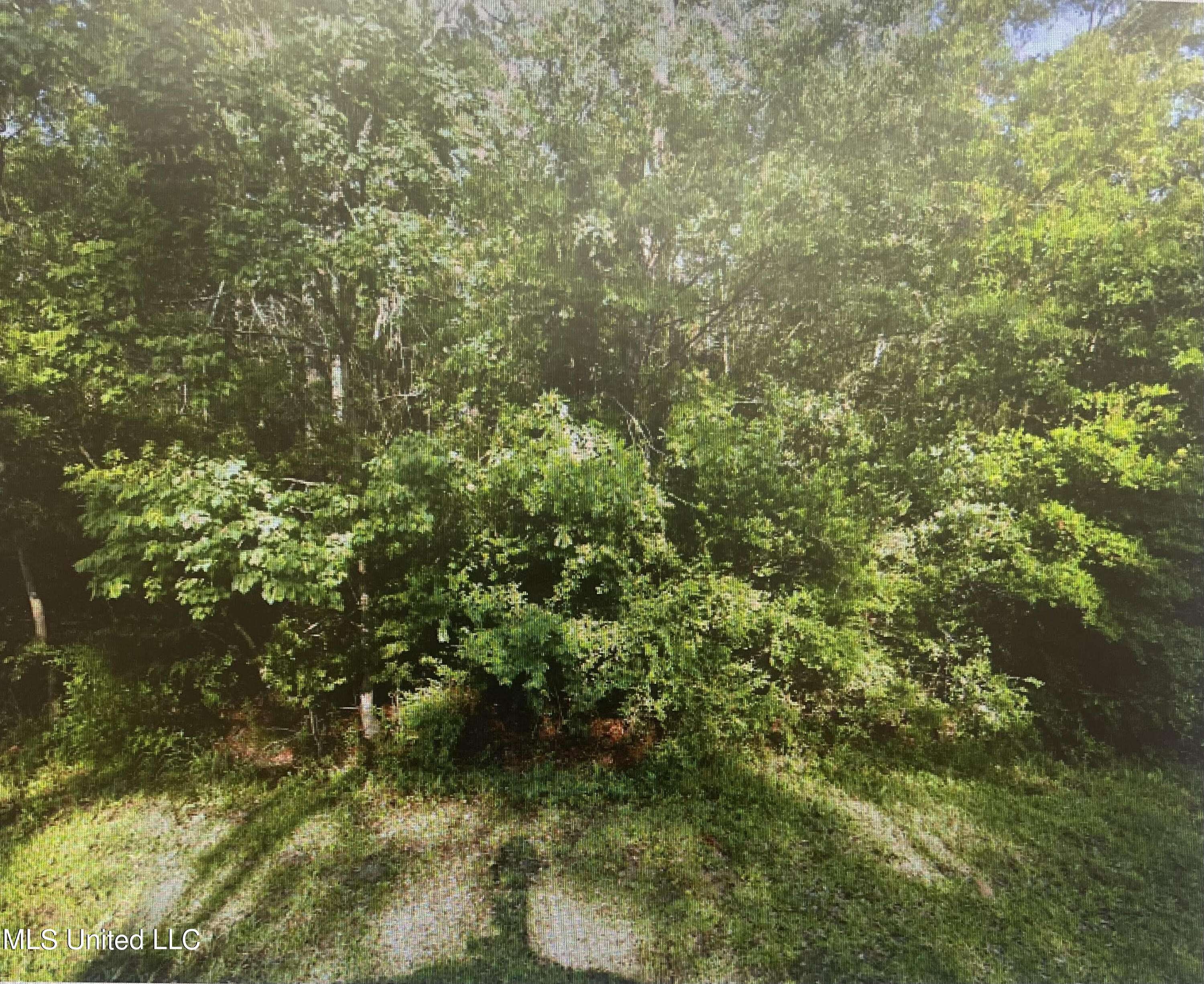 Gulfport, MS 39503,0 Mary Drive