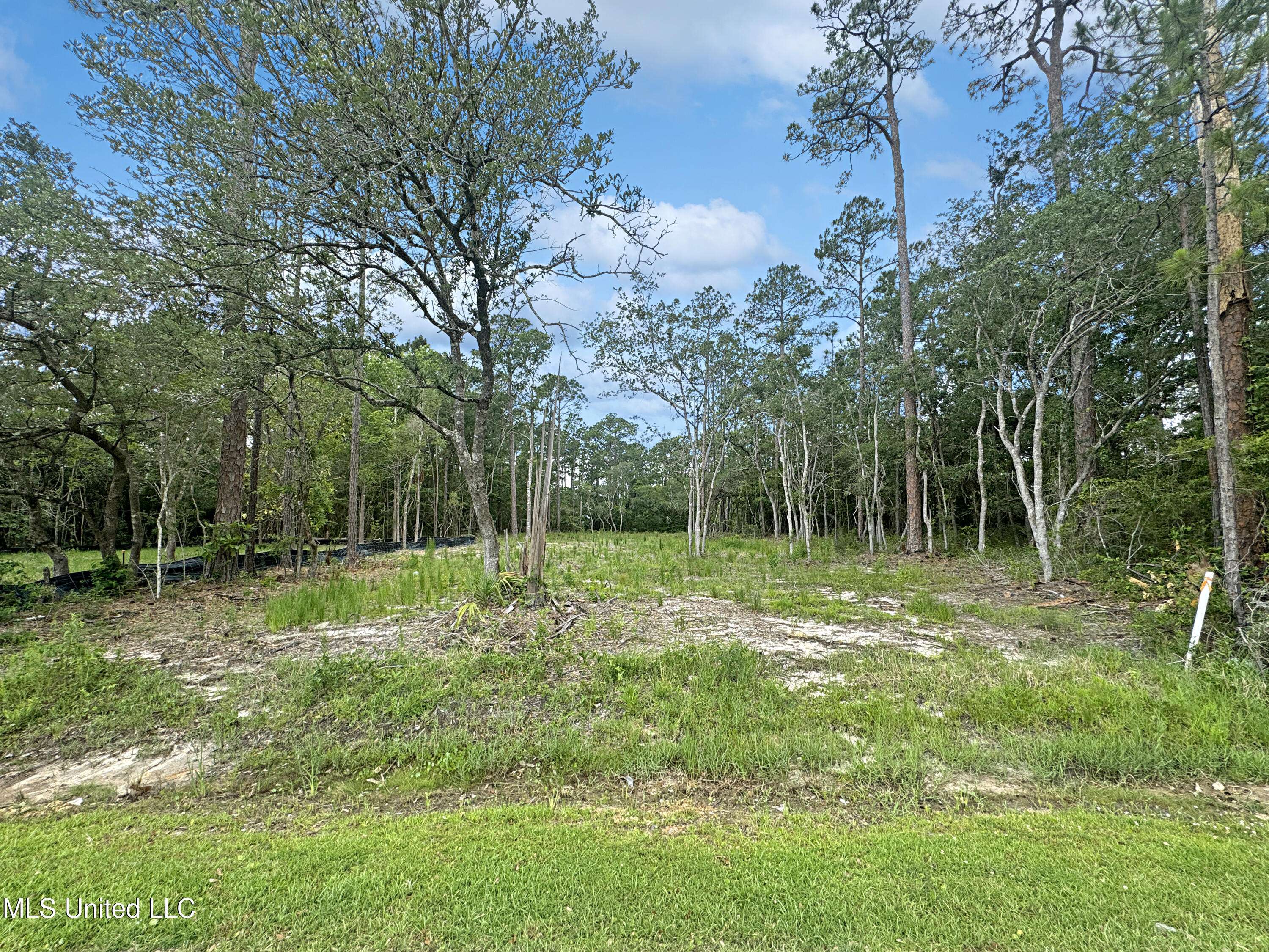 Pass Christian, MS 39571,Lot 20 Birch, Lot 23 Pinewood