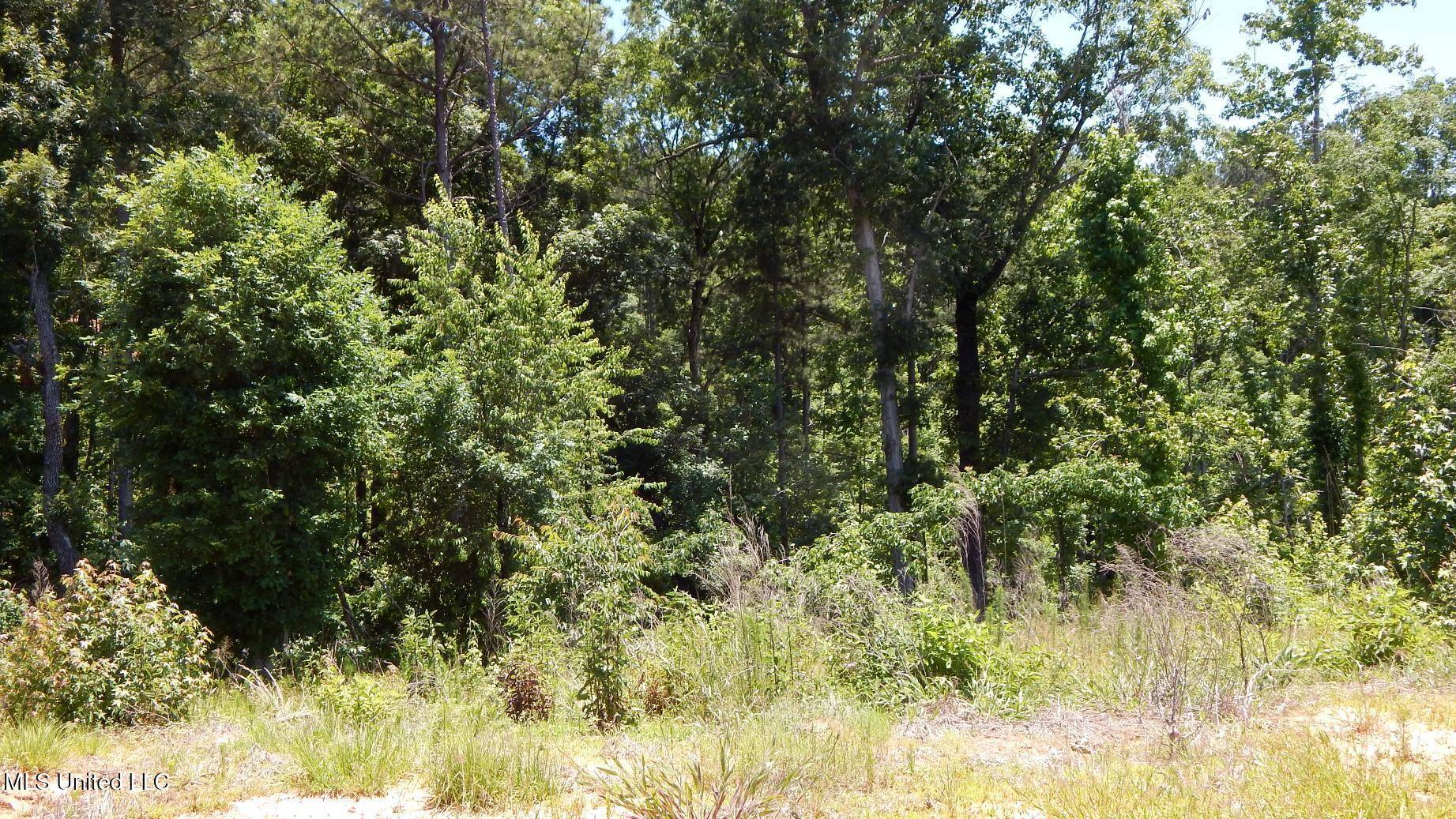 Grenada, MS 38901,806 Hugh White State Park Road