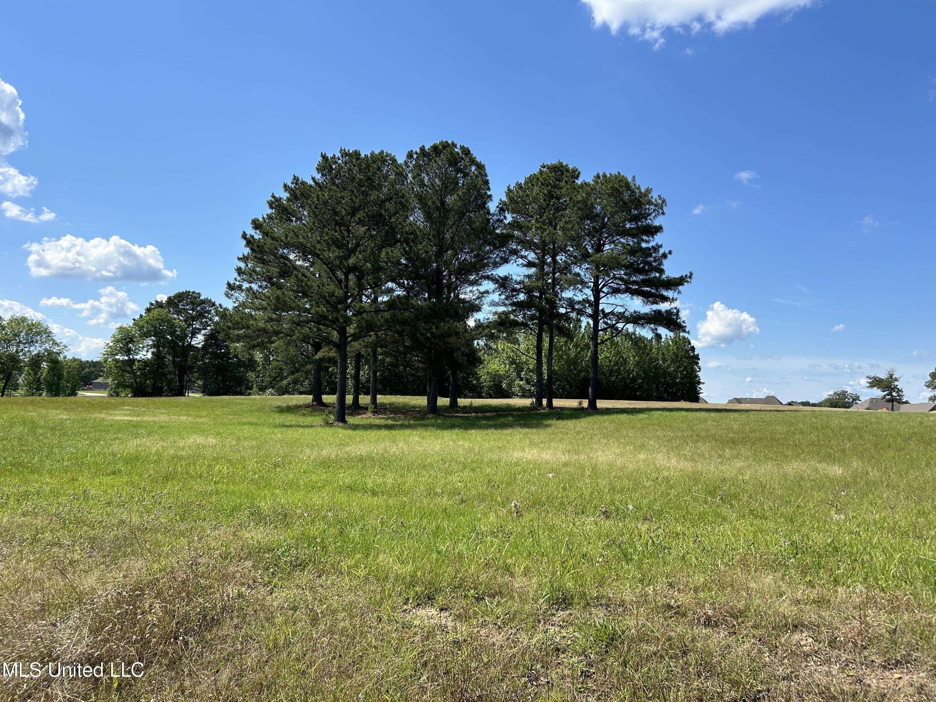 Booneville, MS 38829,0 Jim Drewery Dr