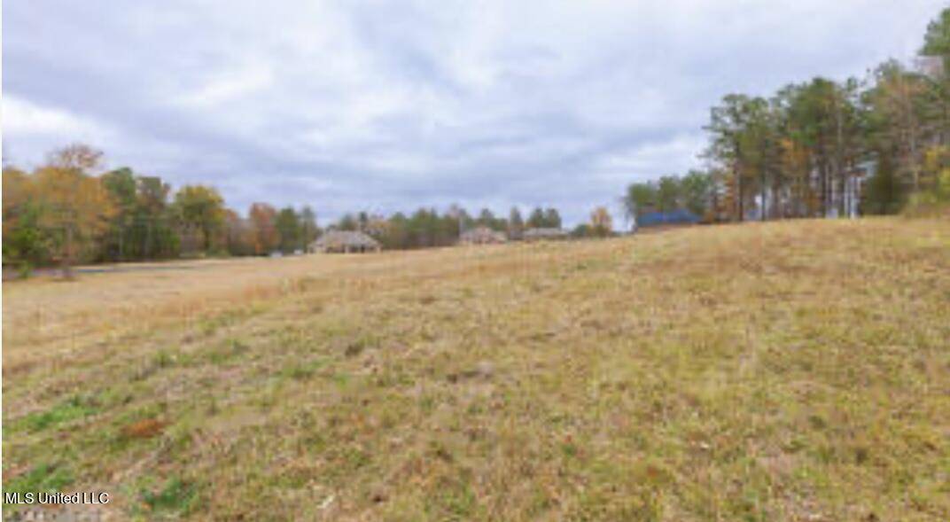 Terry, MS 39170,Wynndale Road
