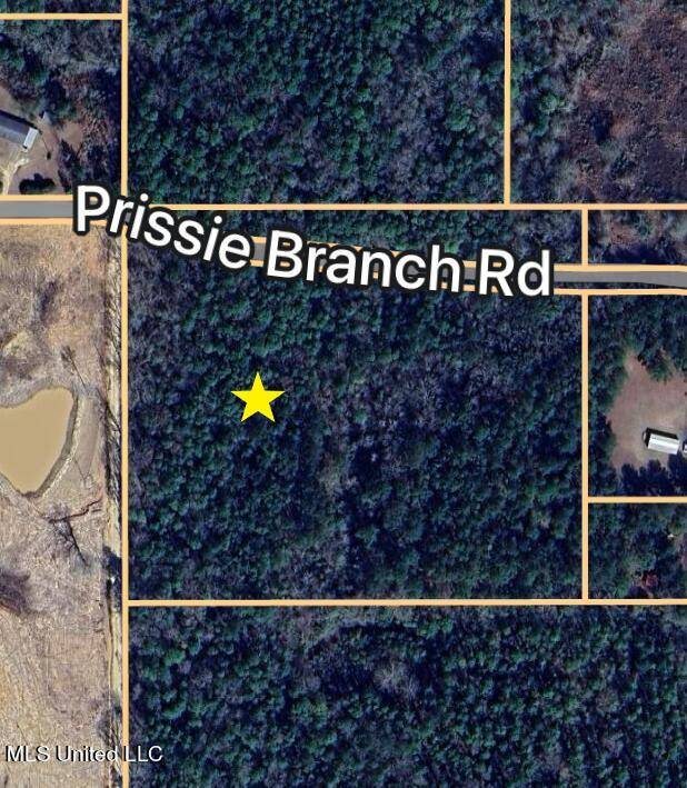 Perkinston, MS 39573,Prissie Branch Road