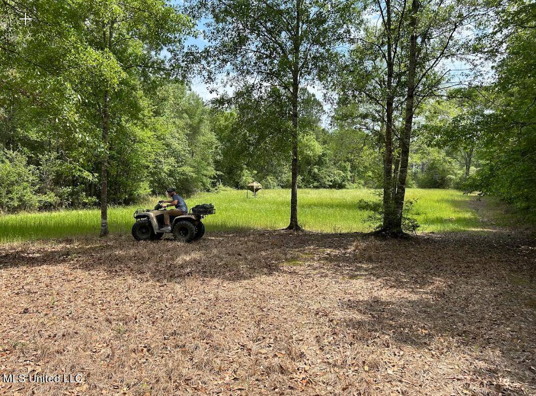 Saucier, MS 39574,Herman Ladner Road