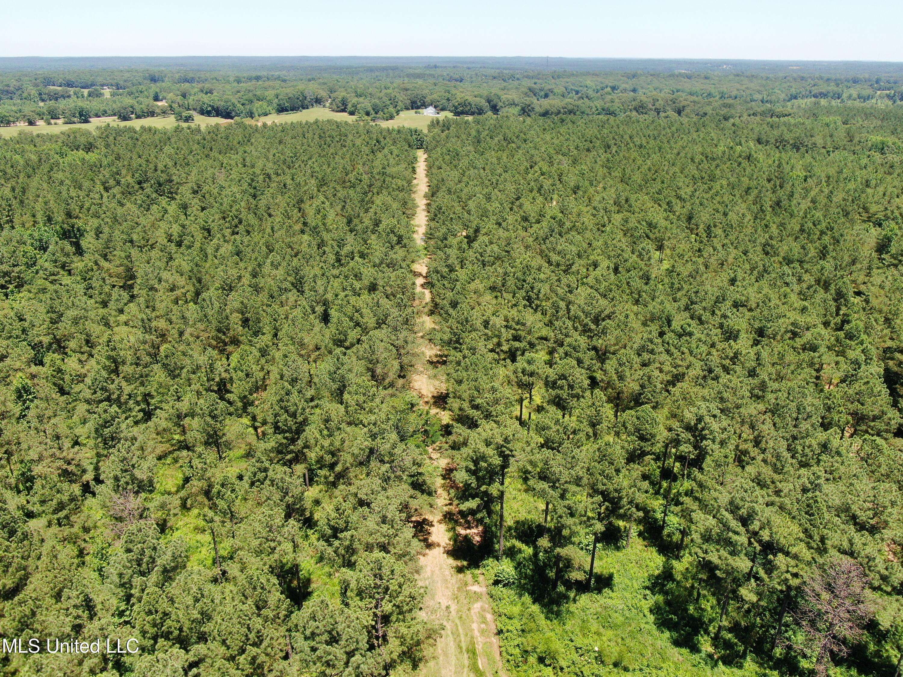 Holly Springs, MS 38635,1700 Wilkins Chapel Road