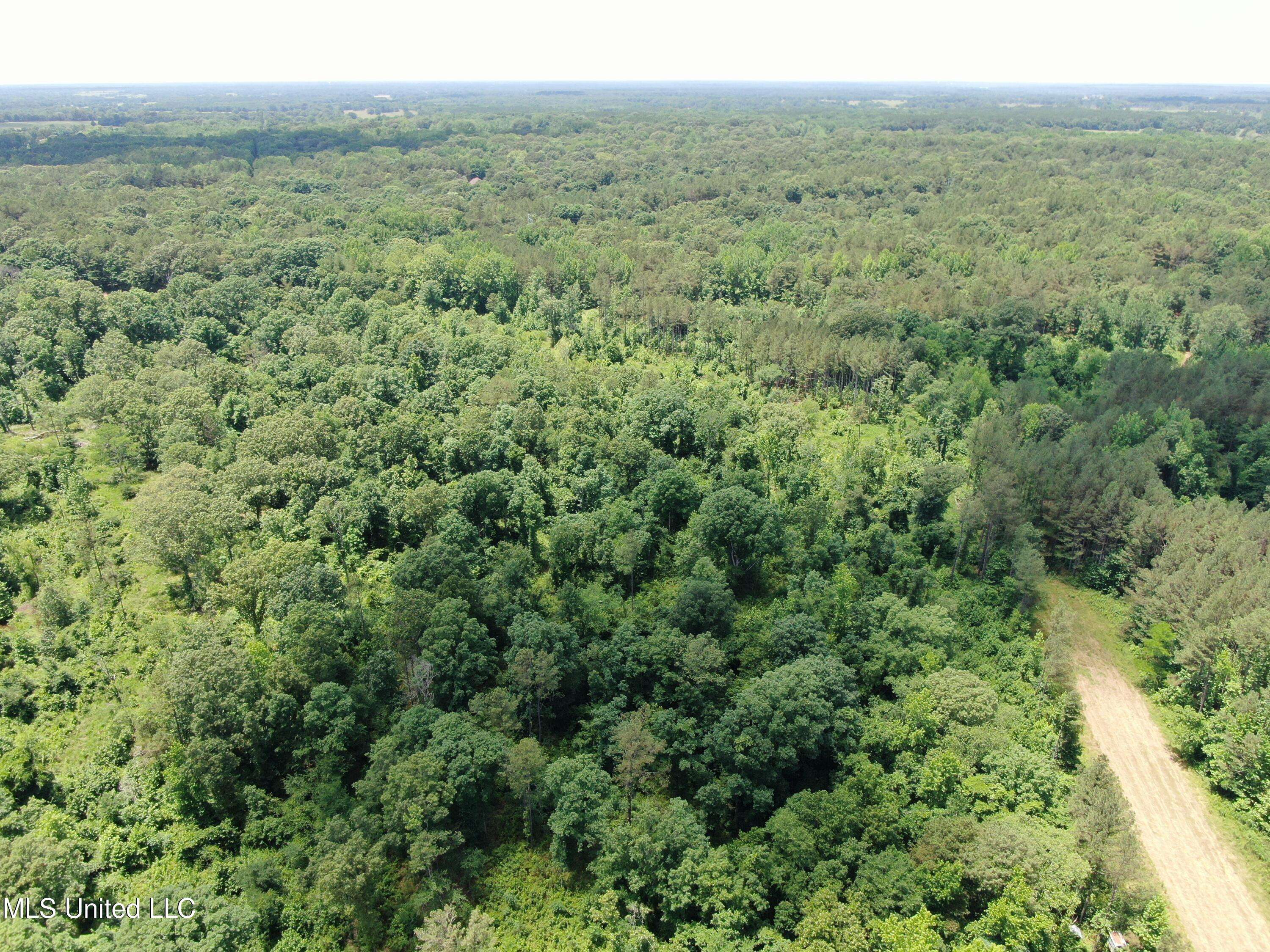 Holly Springs, MS 38635,2100 Wilkins Chapel Road