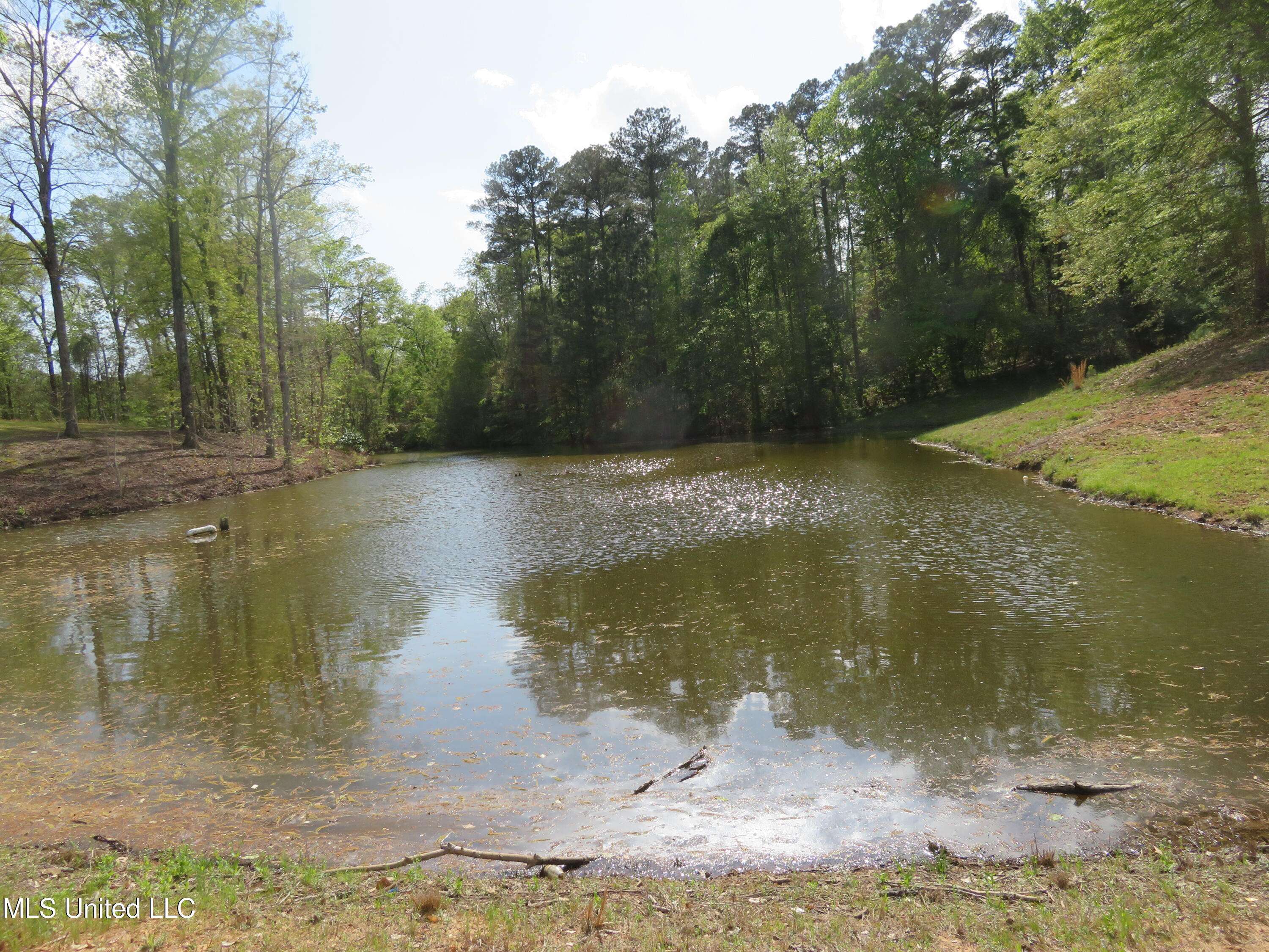 Meridian, MS 39301,Mitchum Bottom Road Road