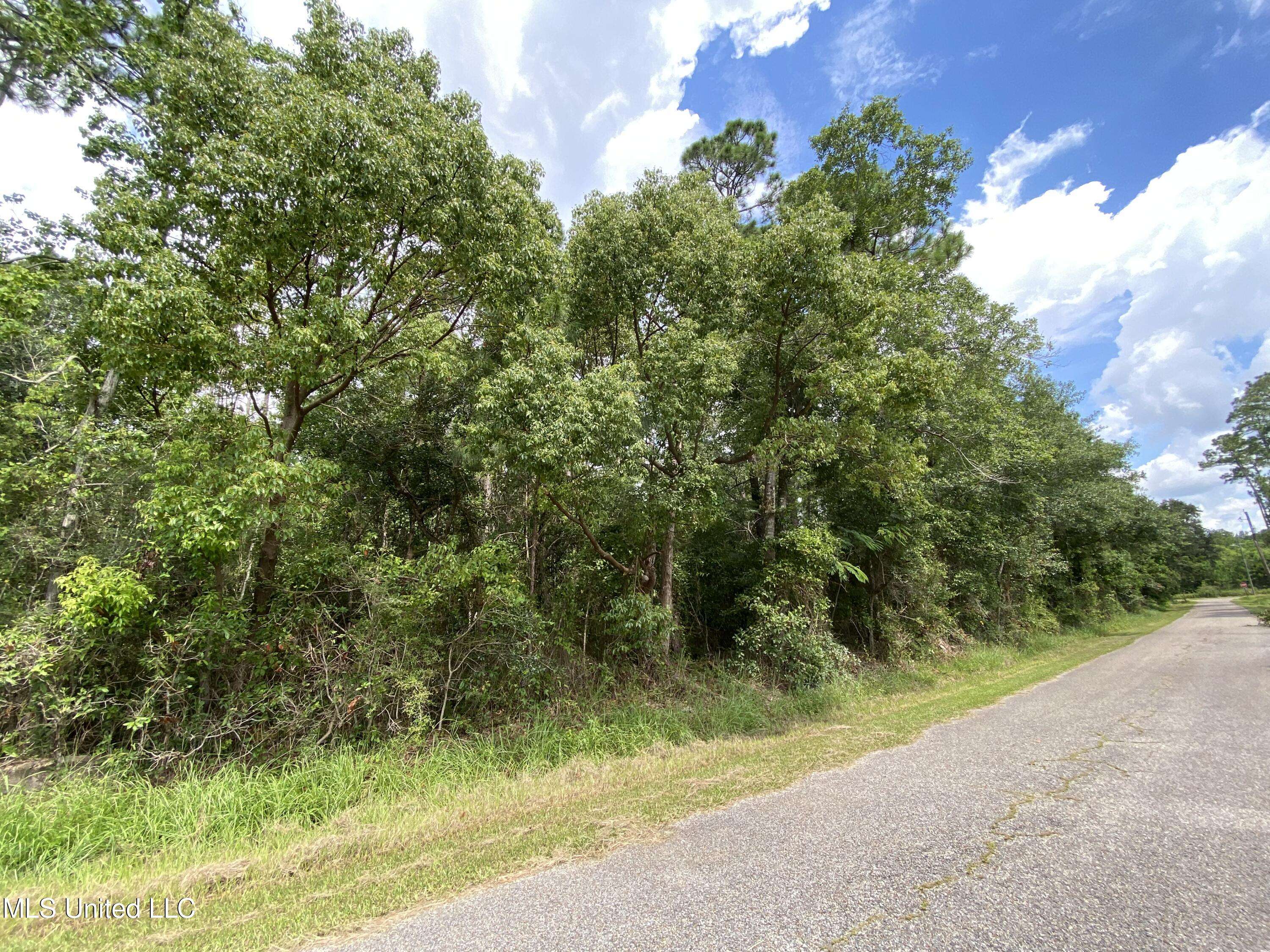 Pass Christian, MS 39571,Foster Drive