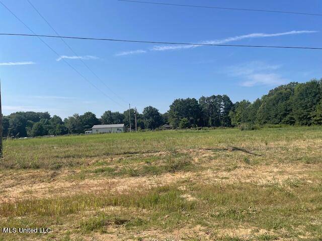 Hernando, MS 38632,1781 Cane Creek Drive