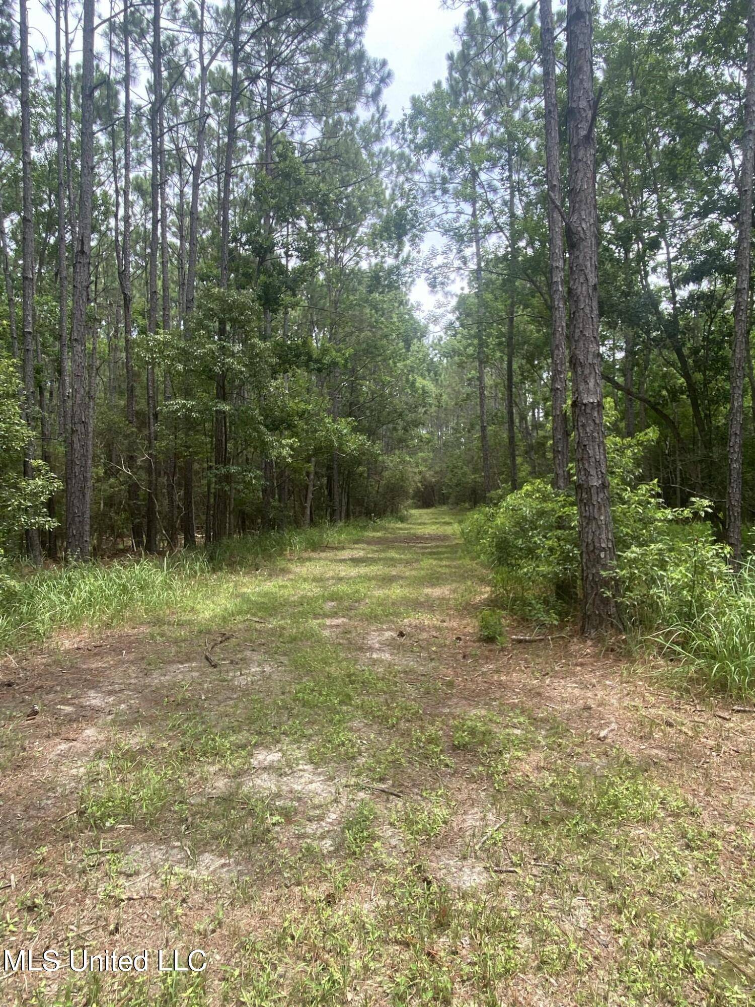 Moss Point, MS 39562,Elmer Jones Road