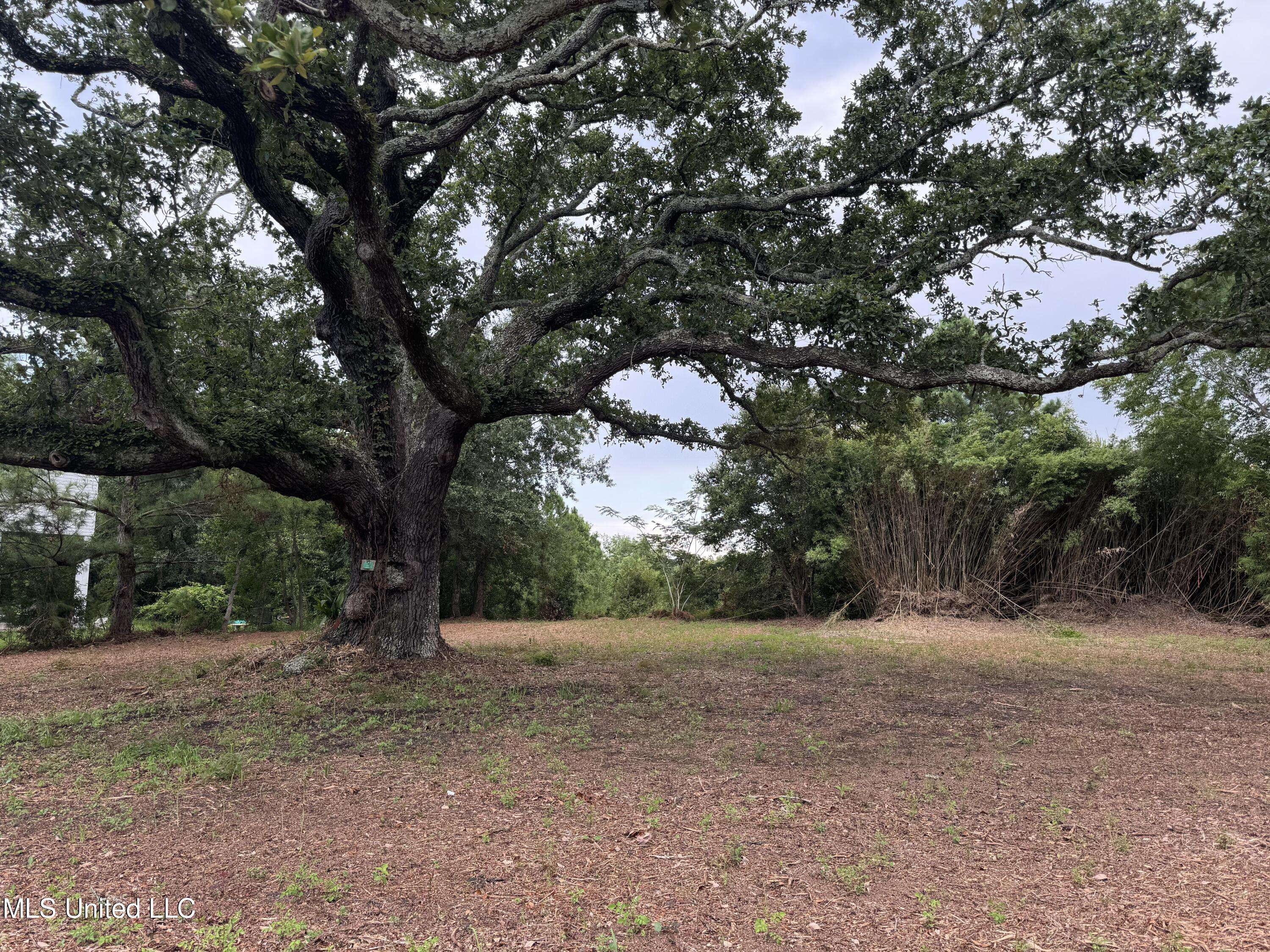 Waveland, MS 39576,Hillcrest Lots 4+5