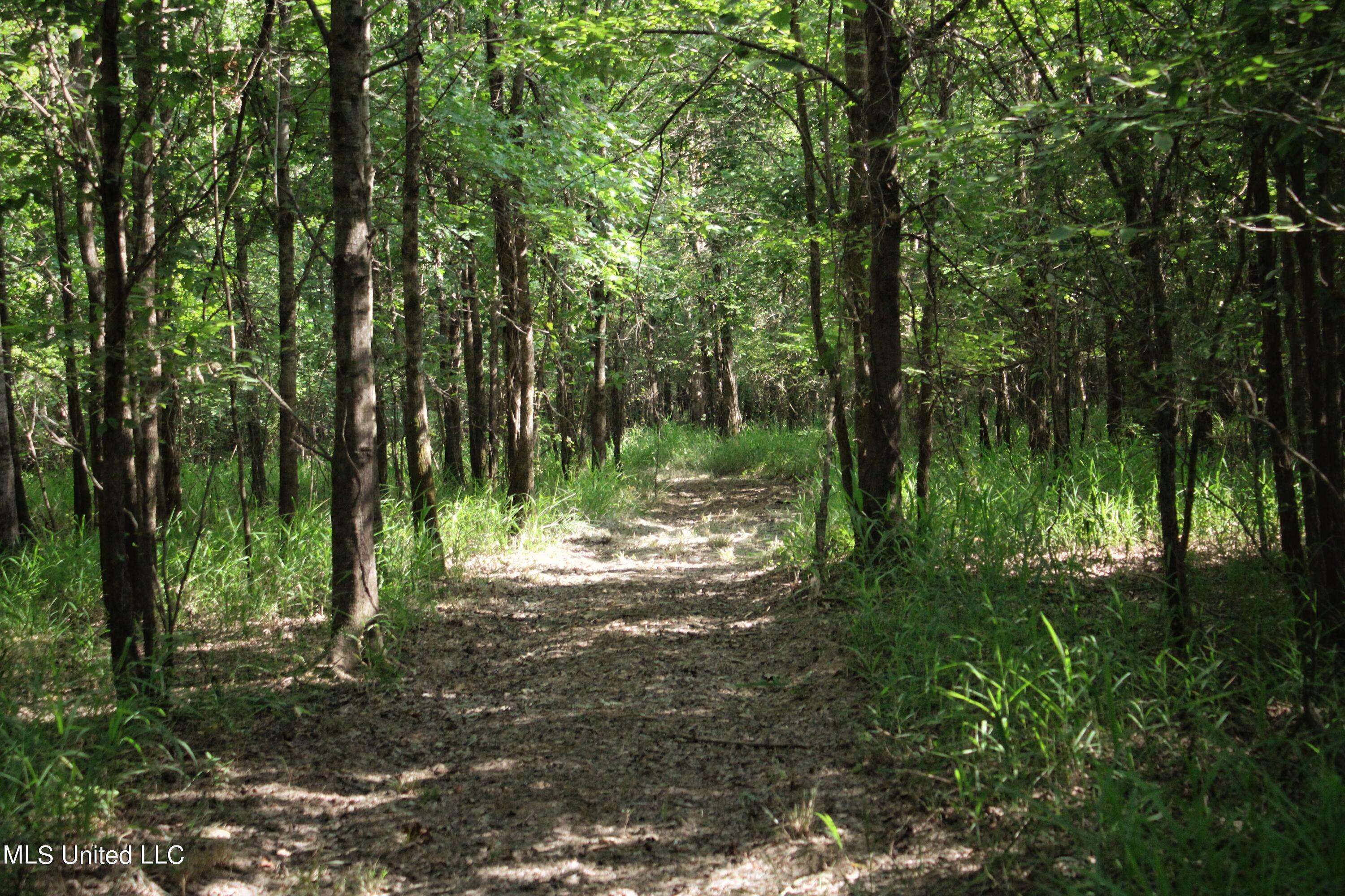 Lambert, MS 38643,Eason Road