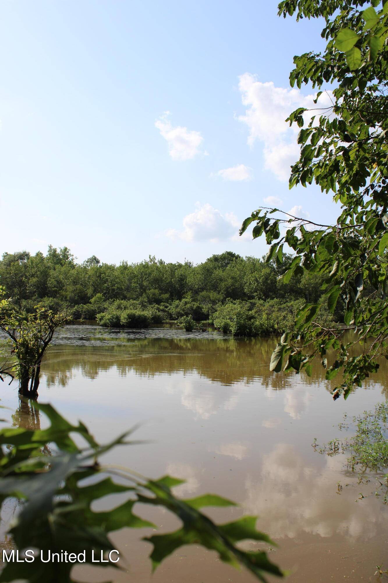 Lambert, MS 38643,Eason Road