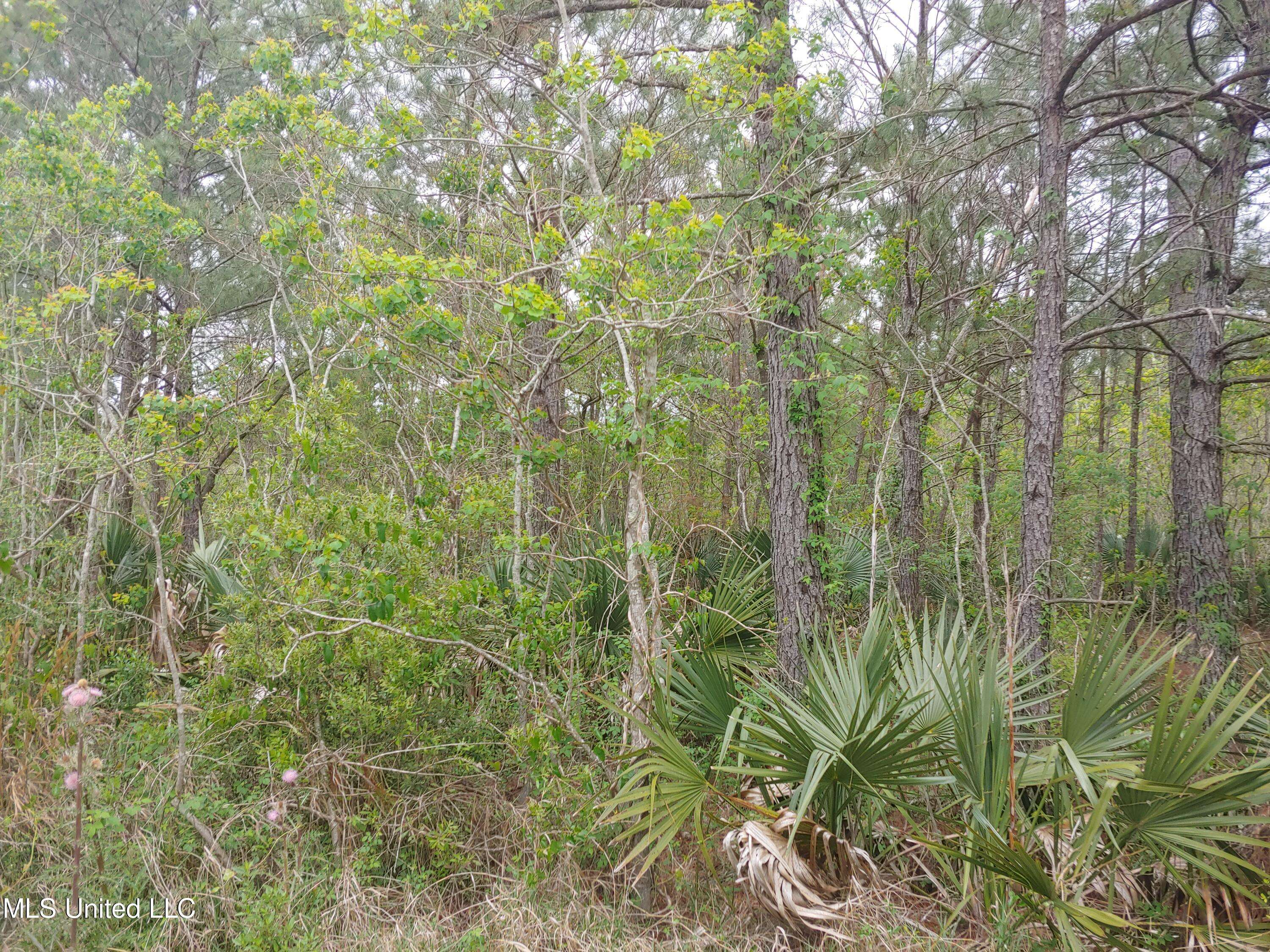 Bay Saint Louis, MS 39520,Rio Grande Street