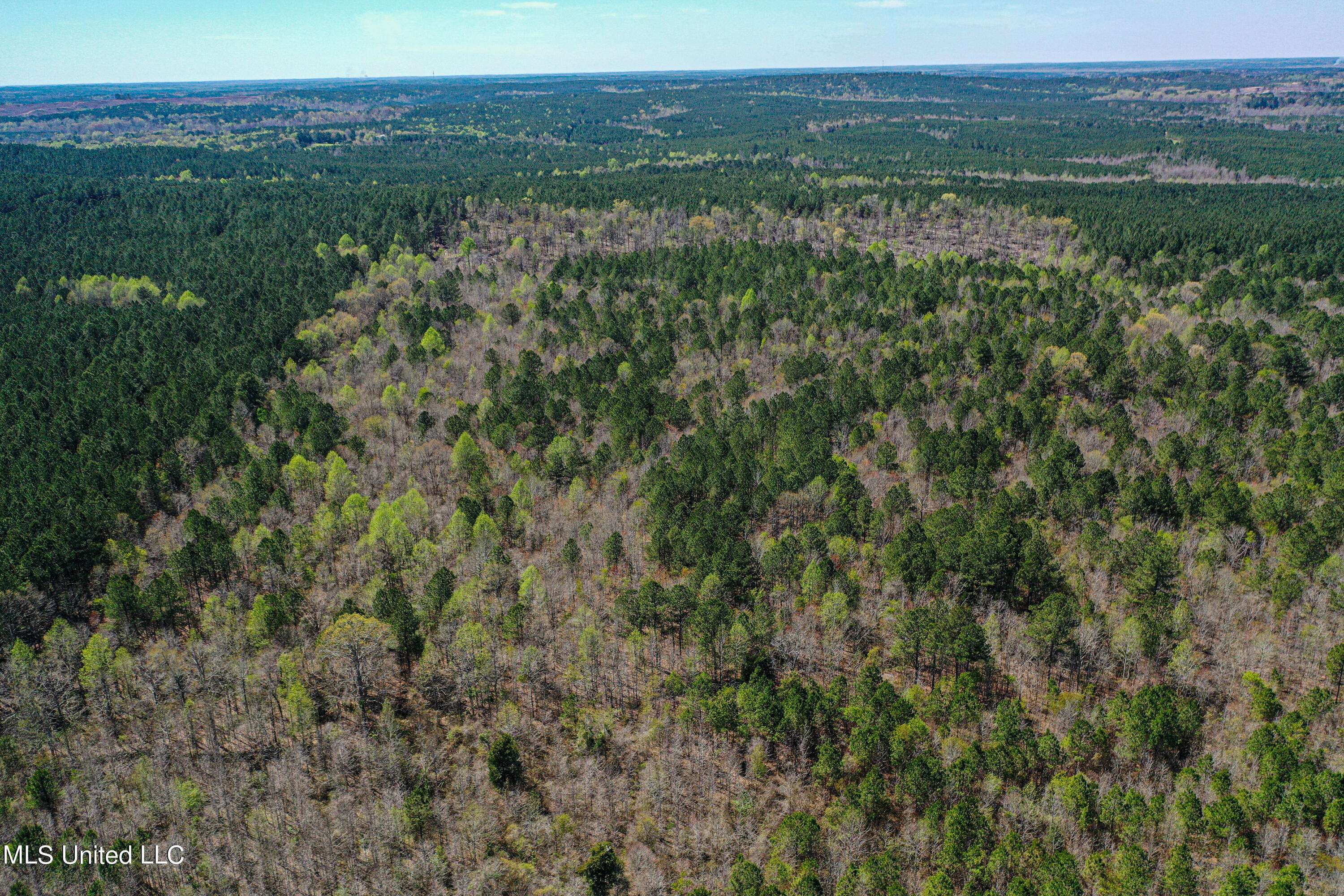 Noxapater, MS 39346,Plattsburg-Mt Calvary Road