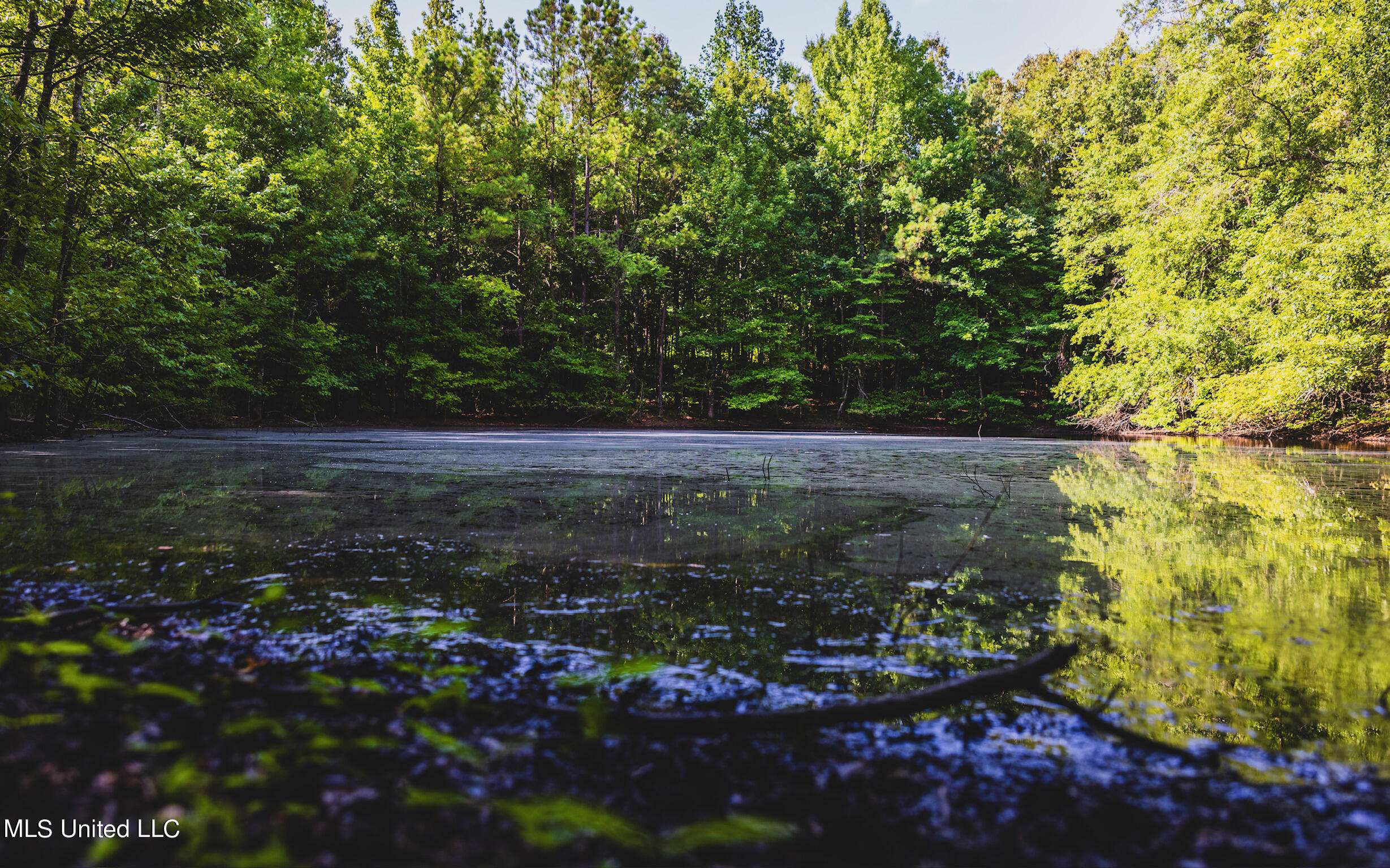 Cruger, MS 38924,Bell Bottom Road