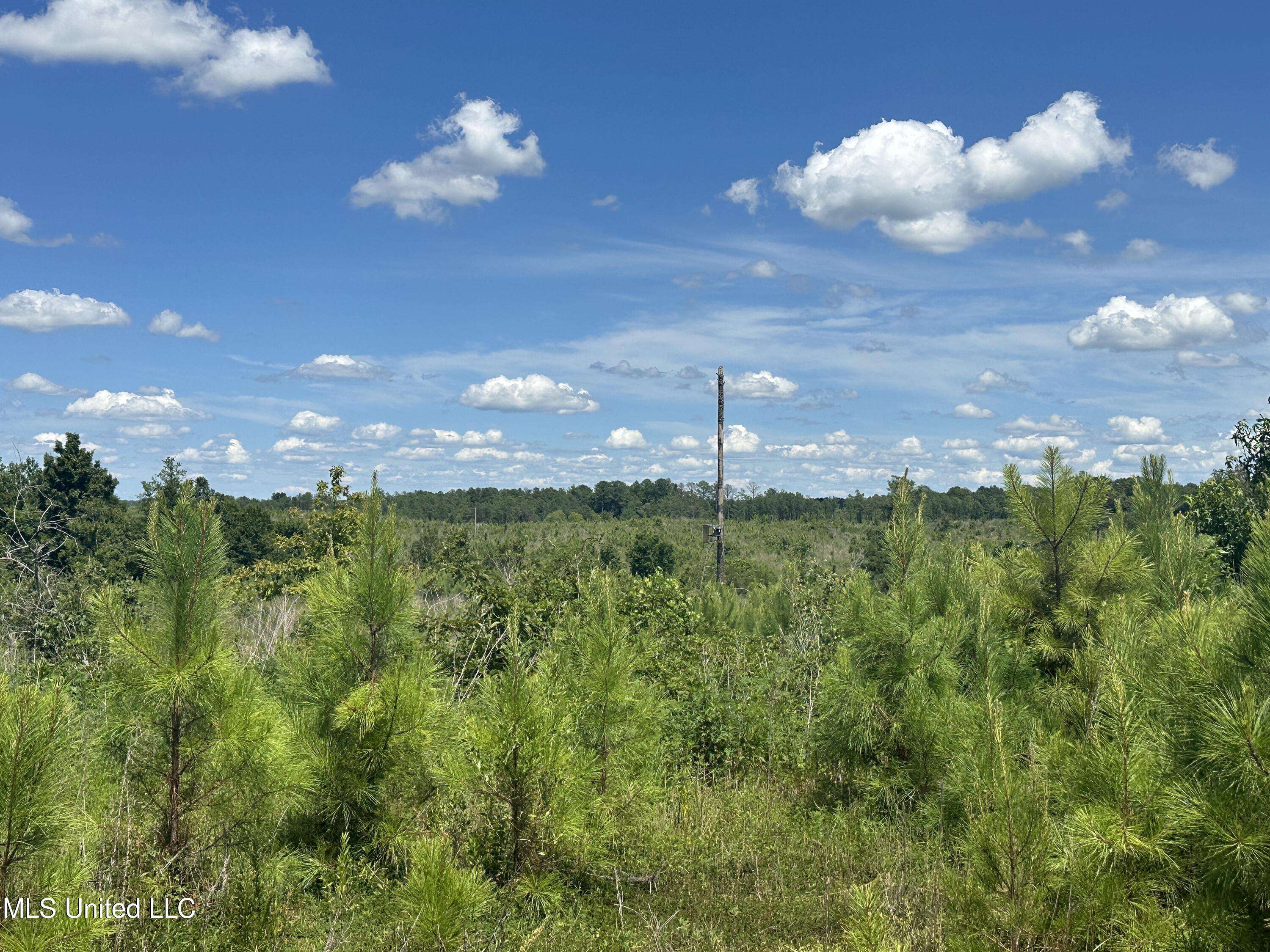 Cruger, MS 38924,Co Rd 75
