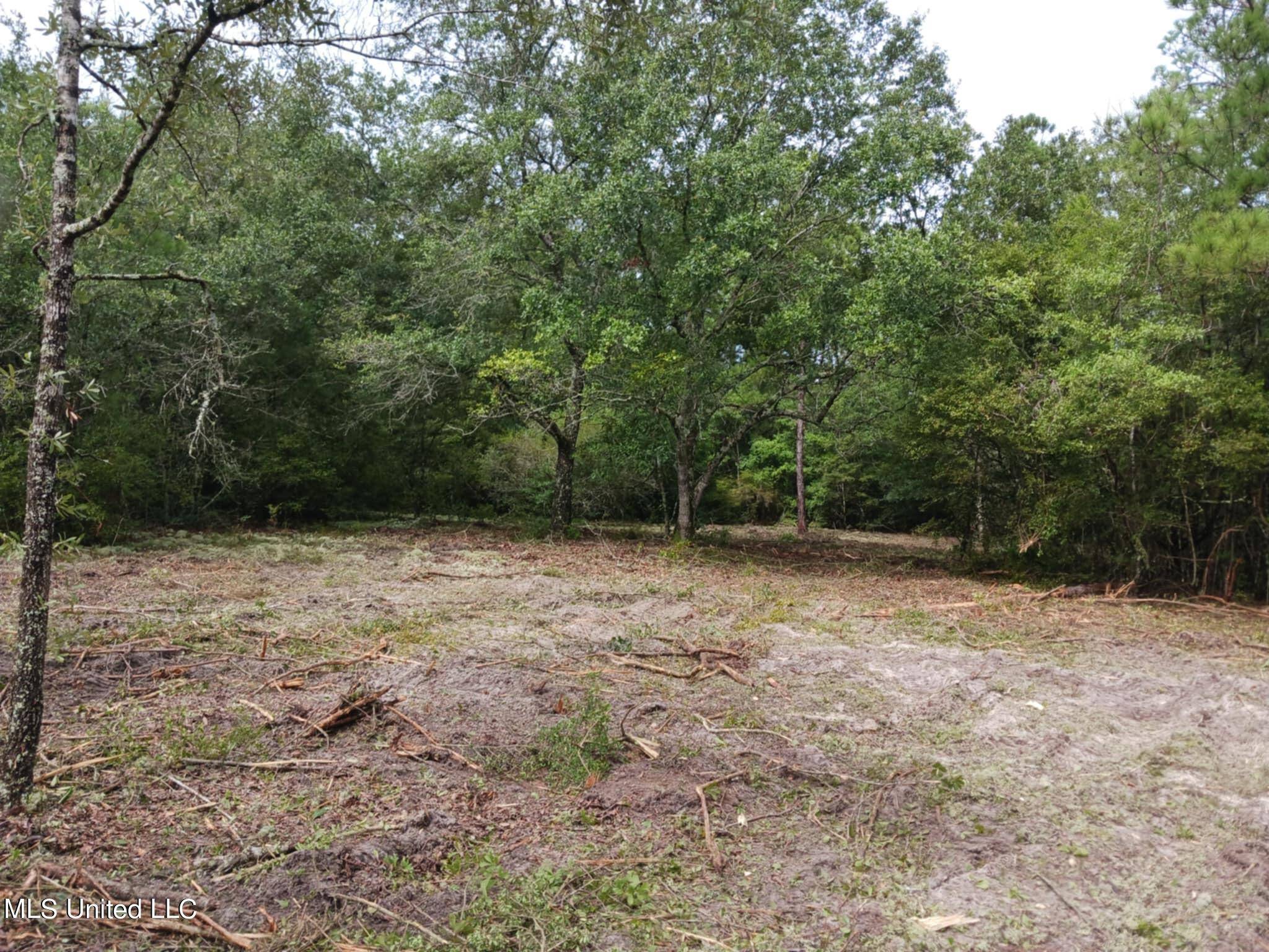 Lumberton, MS 39455,6.8acres Wilford Ladner Road