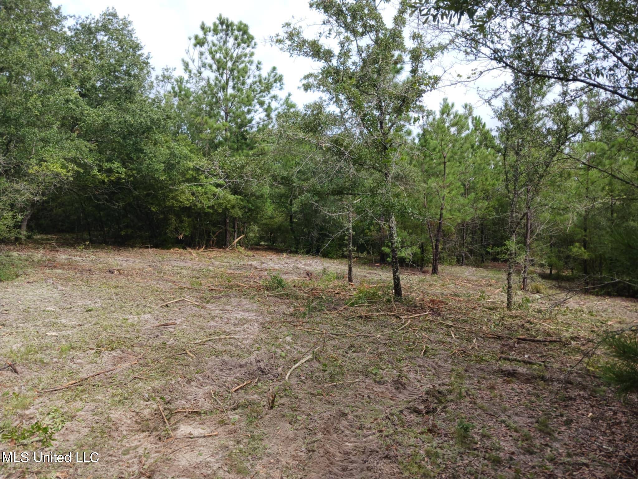 Lumberton, MS 39455,6.8acres Wilford Ladner Road