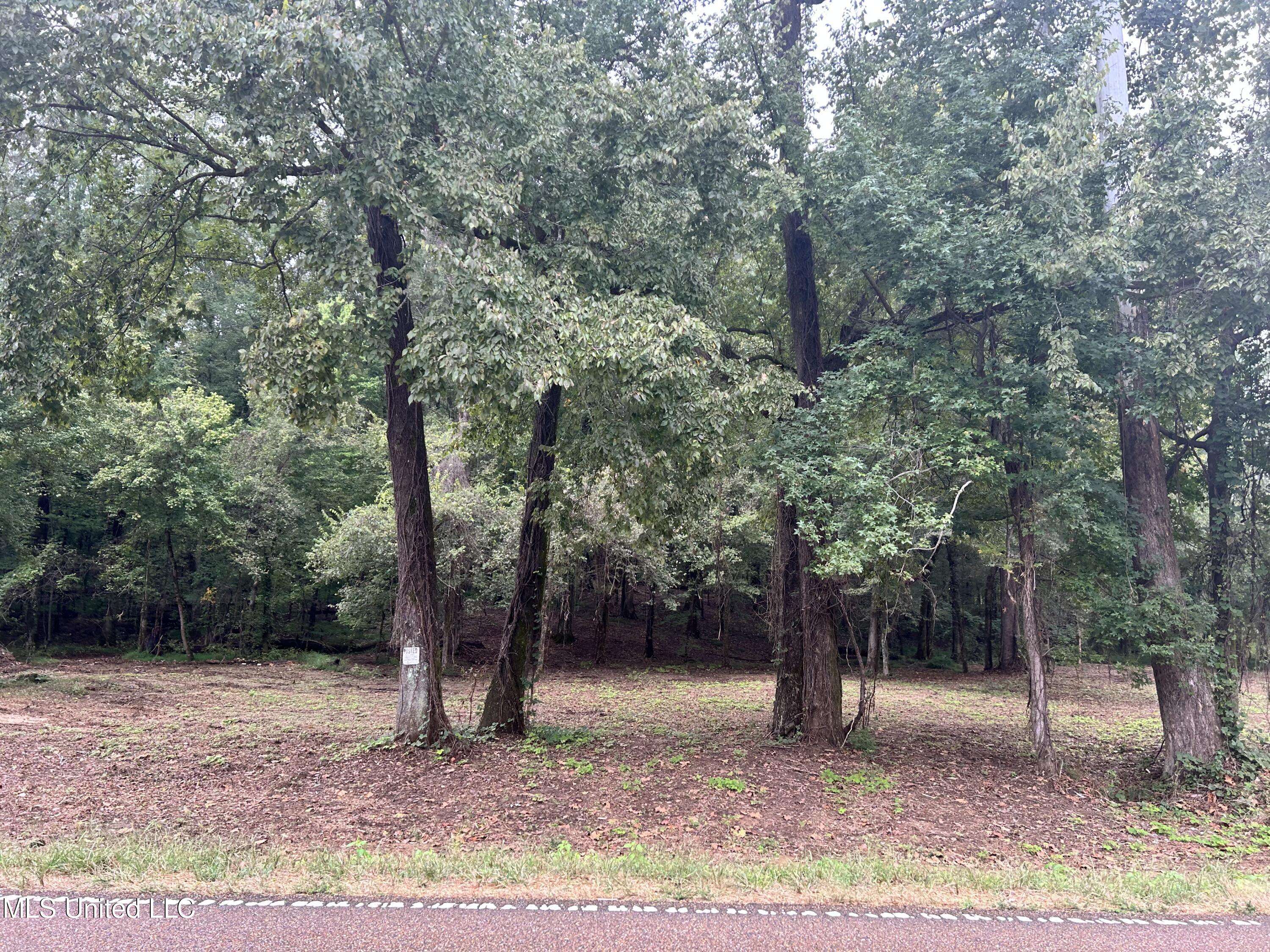 Nesbit, MS 38651,1 Fogg Road
