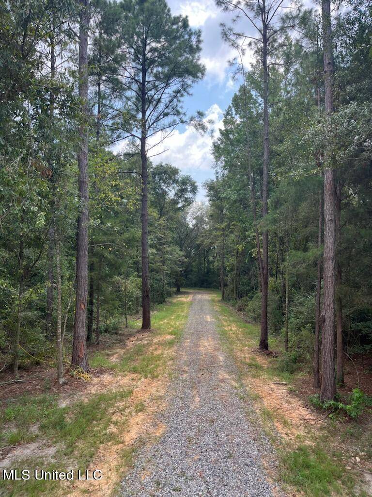 Lucedale, MS 39452,Tanner Williams Rd -Parcel 2