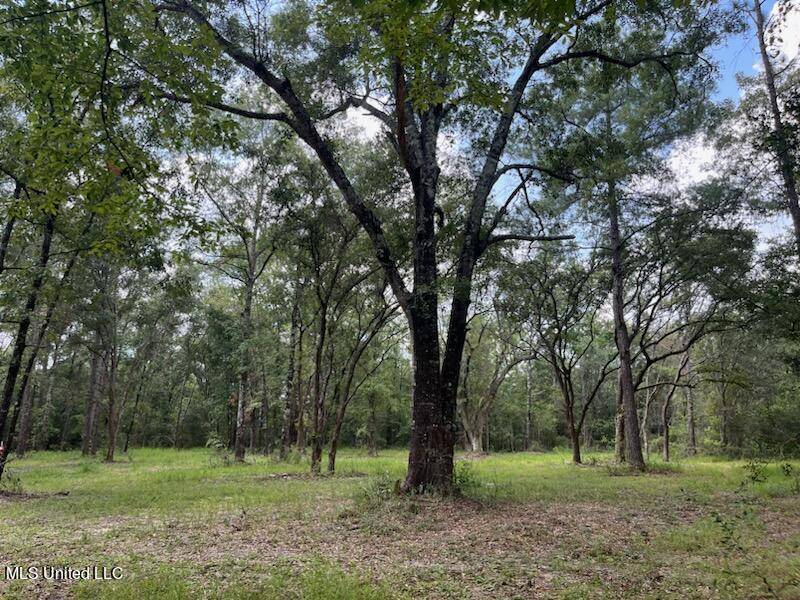 Lucedale, MS 39452,Tanner Williams Rd -Parcel 2