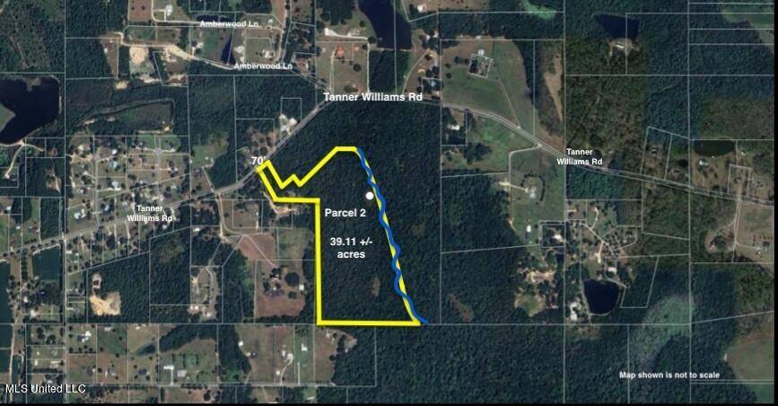 Lucedale, MS 39452,Tanner Williams Rd -Parcel 2