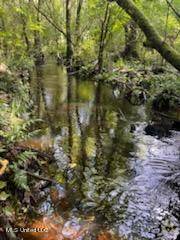 Lucedale, MS 39452,Tanner Williams Rd -Parcel 2