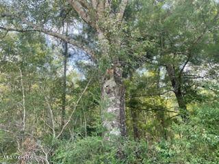 Lucedale, MS 39452,Tanner Williams Rd -Parcel 8
