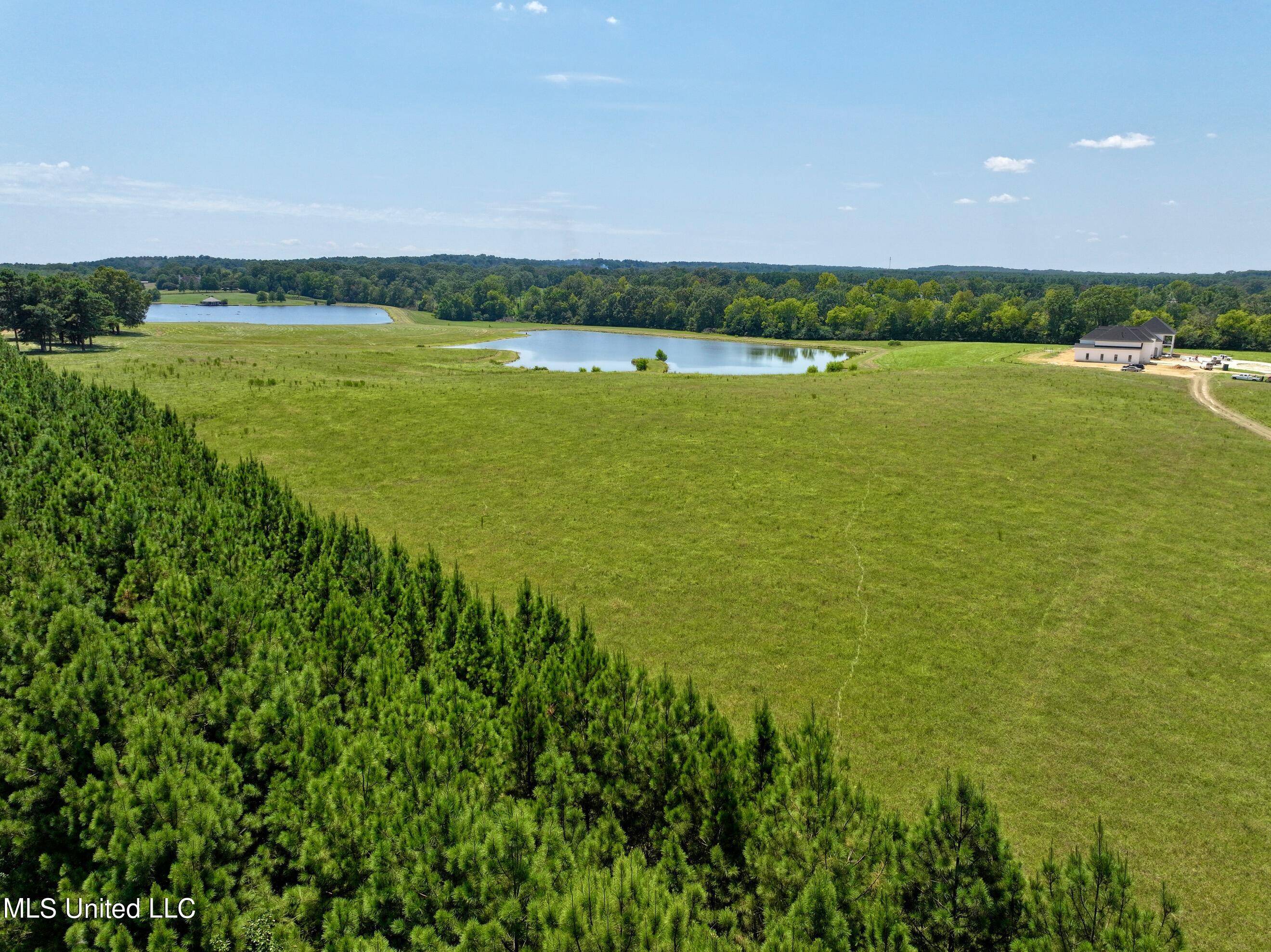 Flora, MS 39071,Cedar Hill Rd