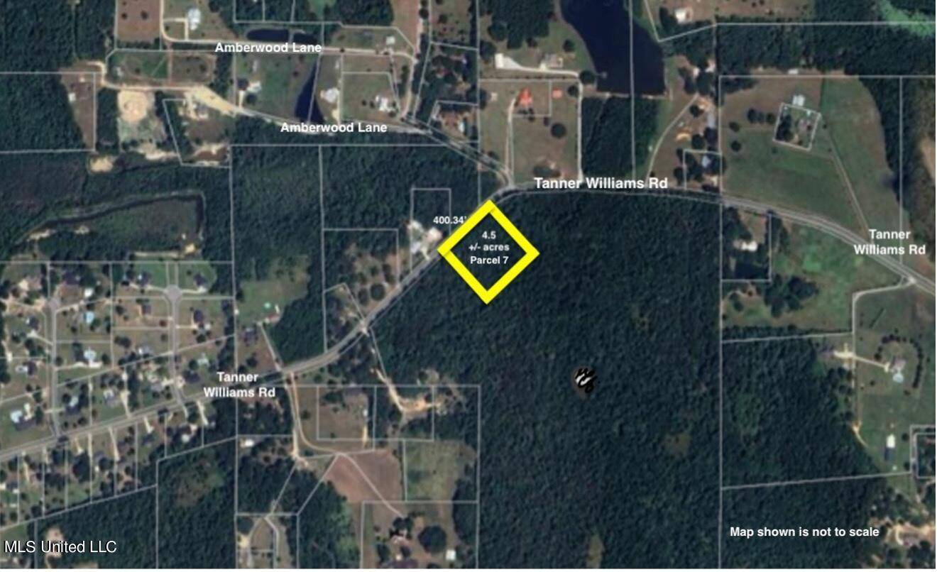 Lucedale, MS 39452,Tanner Williams Rd -Parcel 7