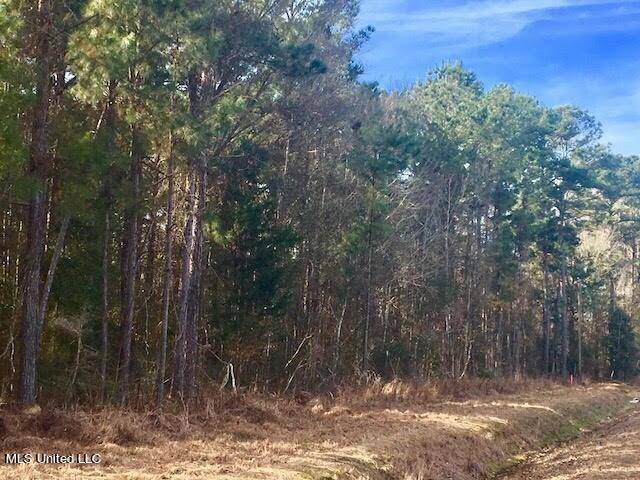 Gloster, MS 39638,77.83 Ac Oxford Meadville Road