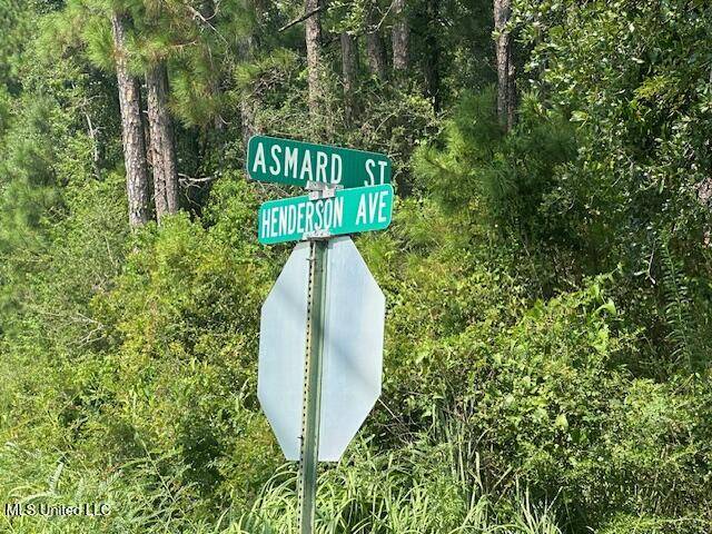 Pass Christian, MS 39571,0 Asmard Street