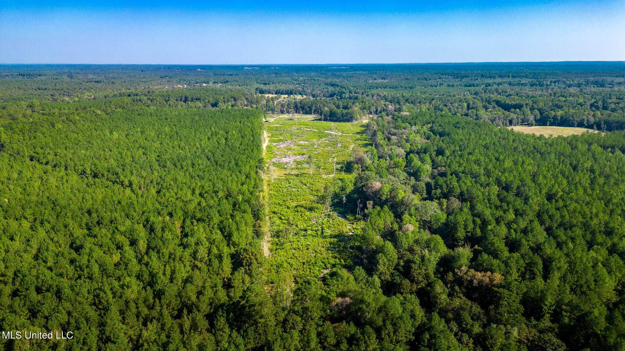 Sumrall, MS 39482,0 Todd Road