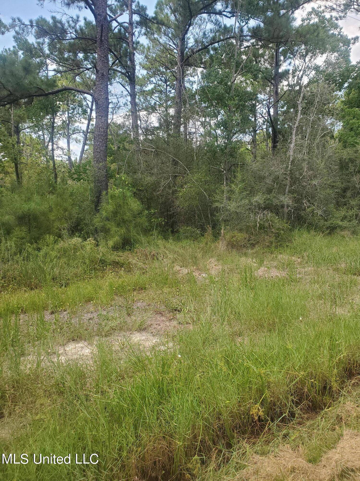 Bay Saint Louis, MS 39520,Dove Street Lot 81 & 82