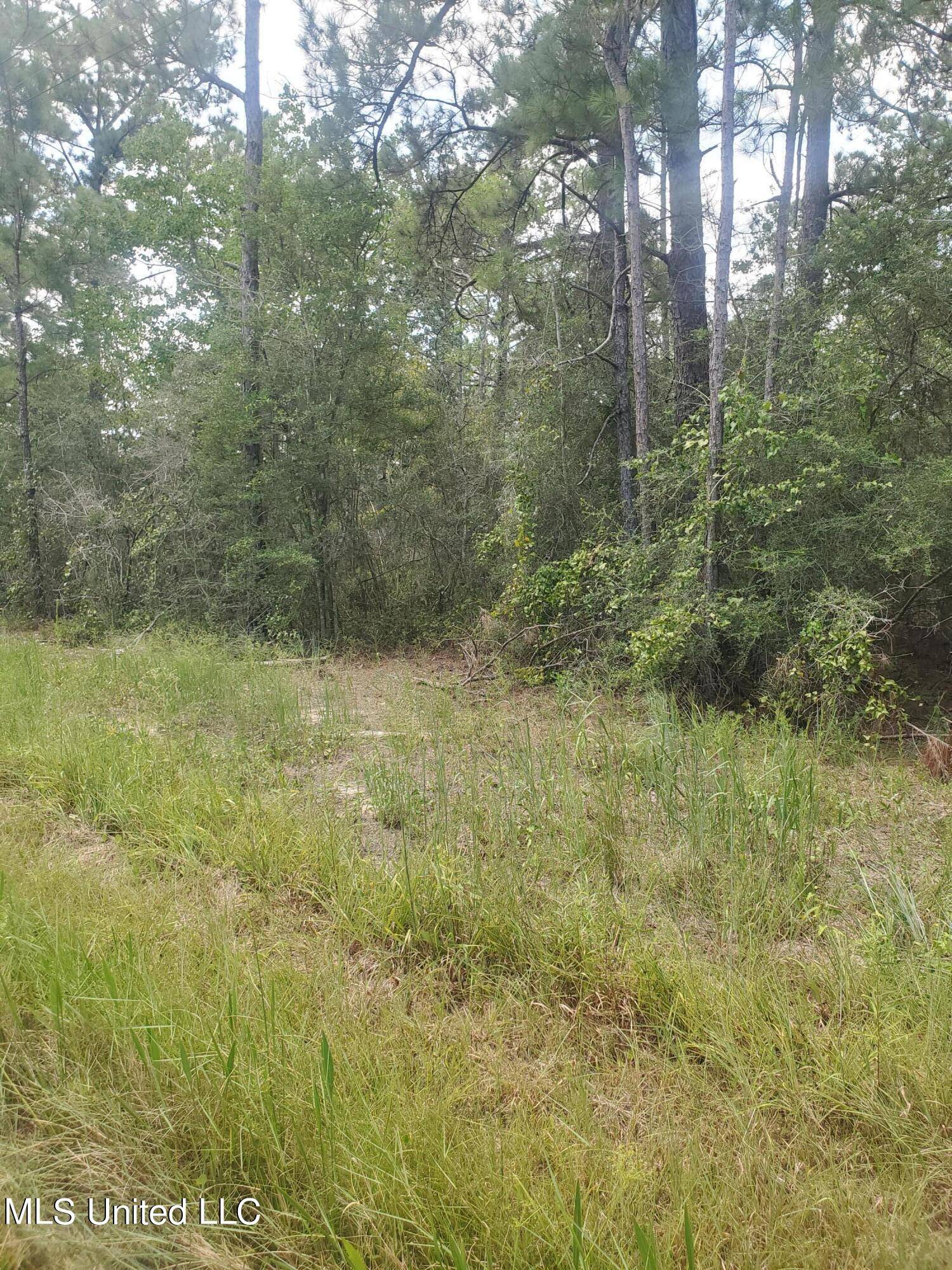 Bay Saint Louis, MS 39520,Dove Street Lot 81 & 82