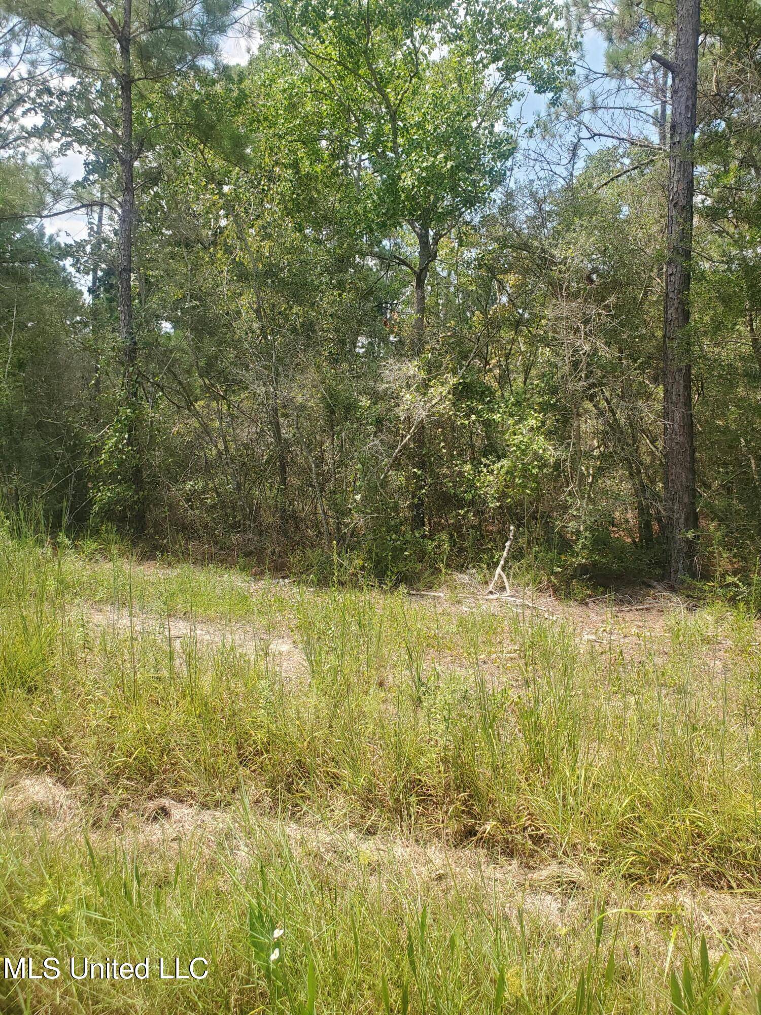 Bay Saint Louis, MS 39520,Dove Street Lot 81 & 82