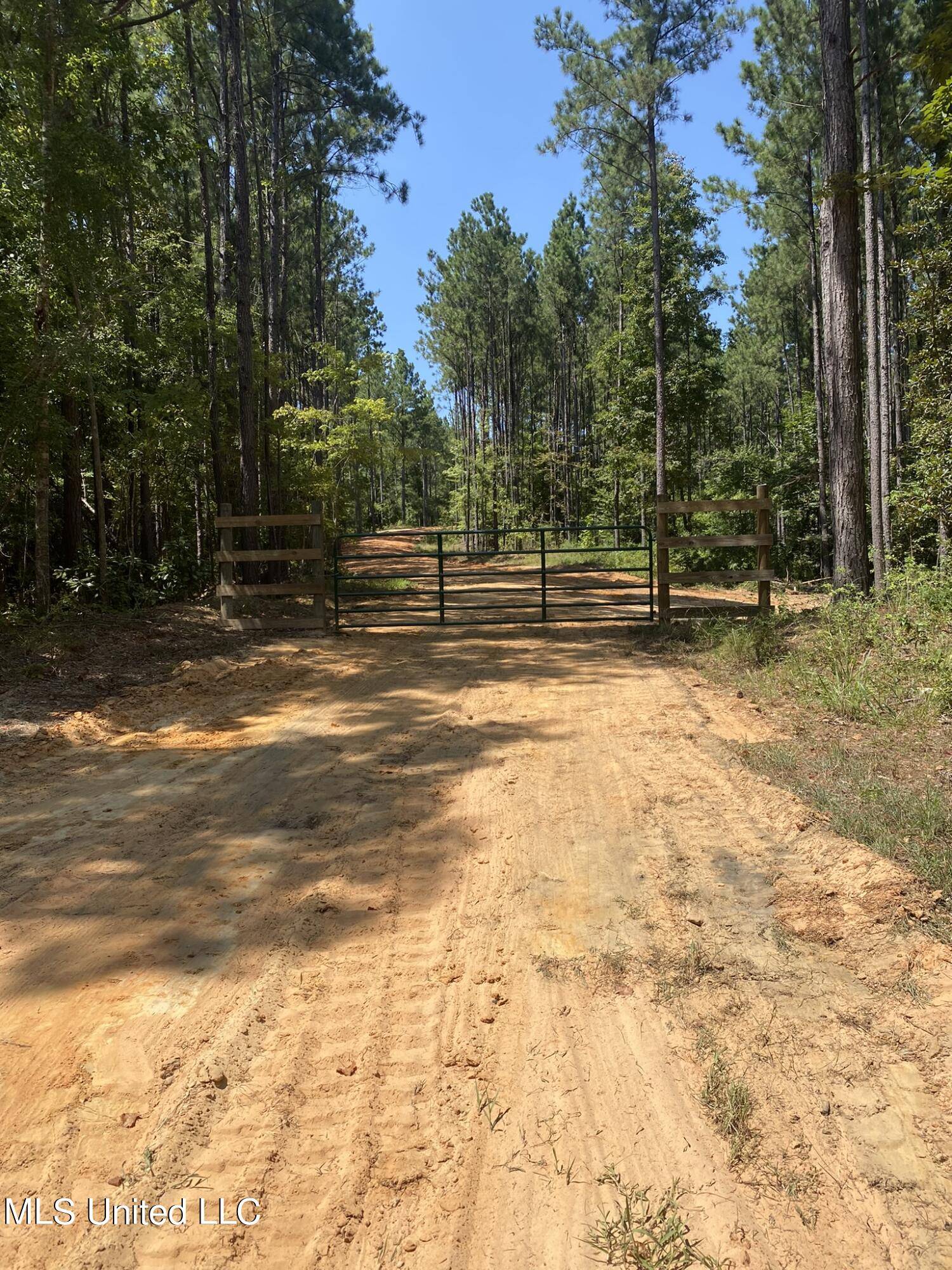 Pelahatchie, MS 39145,0 Pelahatchie Road