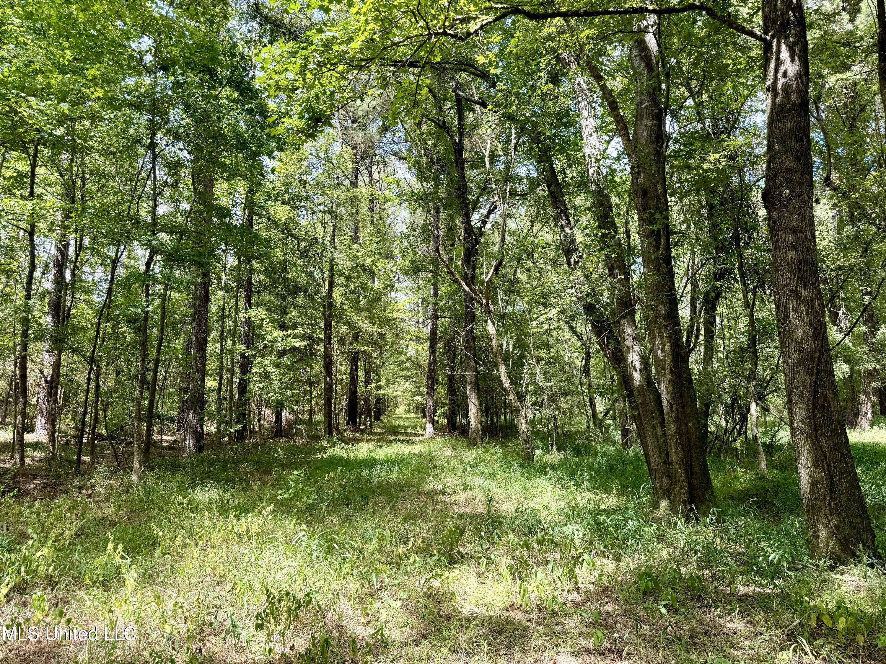 Flora, MS 39071,Spring Creek Road