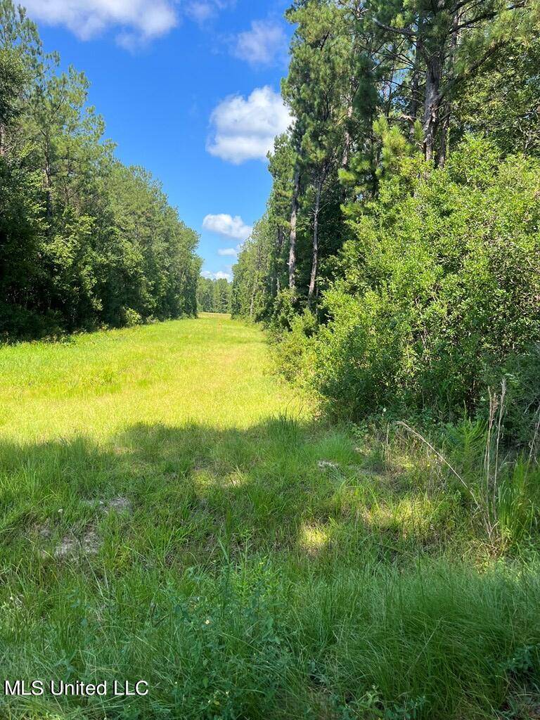 Poplarville, MS 39470,0 Shenandoah Road