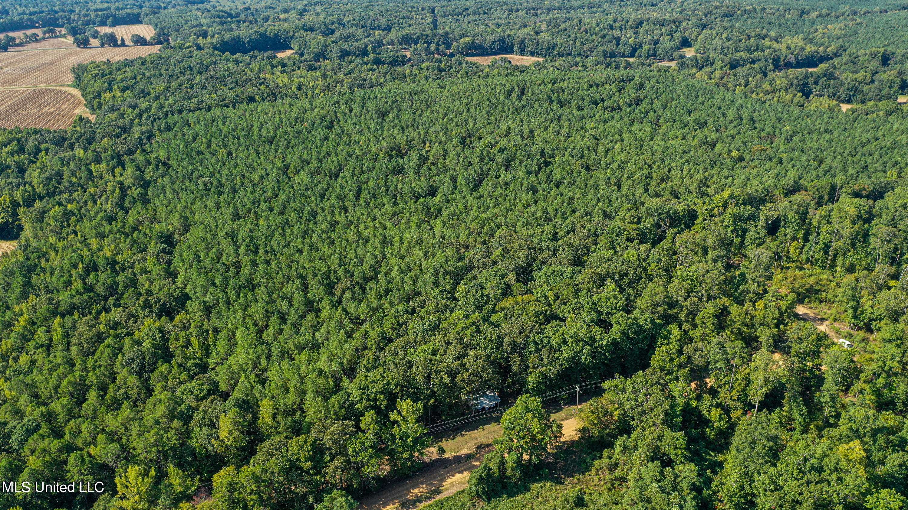 Coffeeville, MS 38922,Hendrix Road