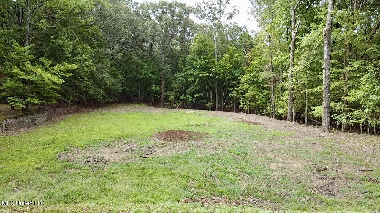 Southaven, MS 38671,1395 Jewel Drive