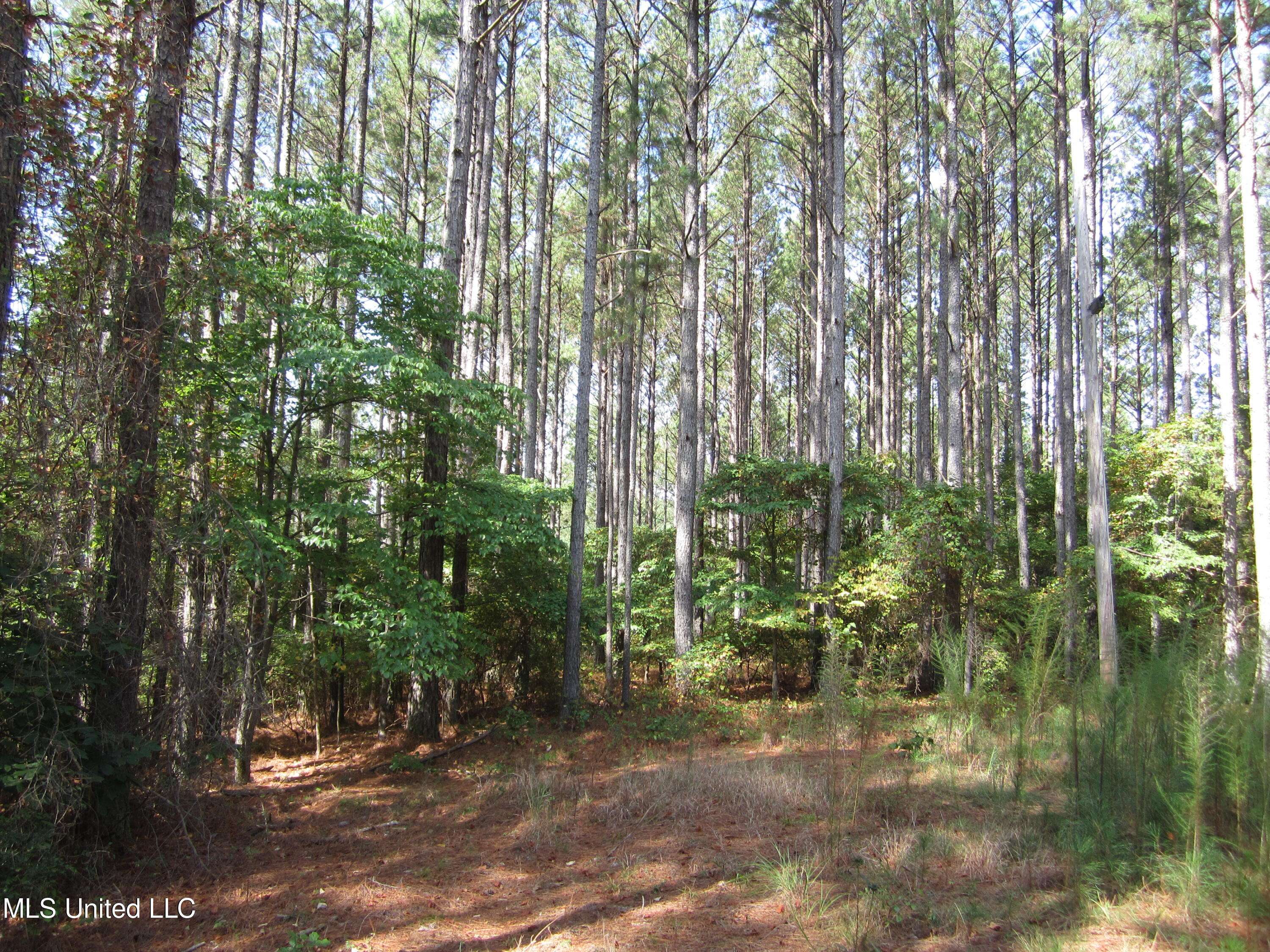 Iuka, MS 38852,Pine Ridge Cove