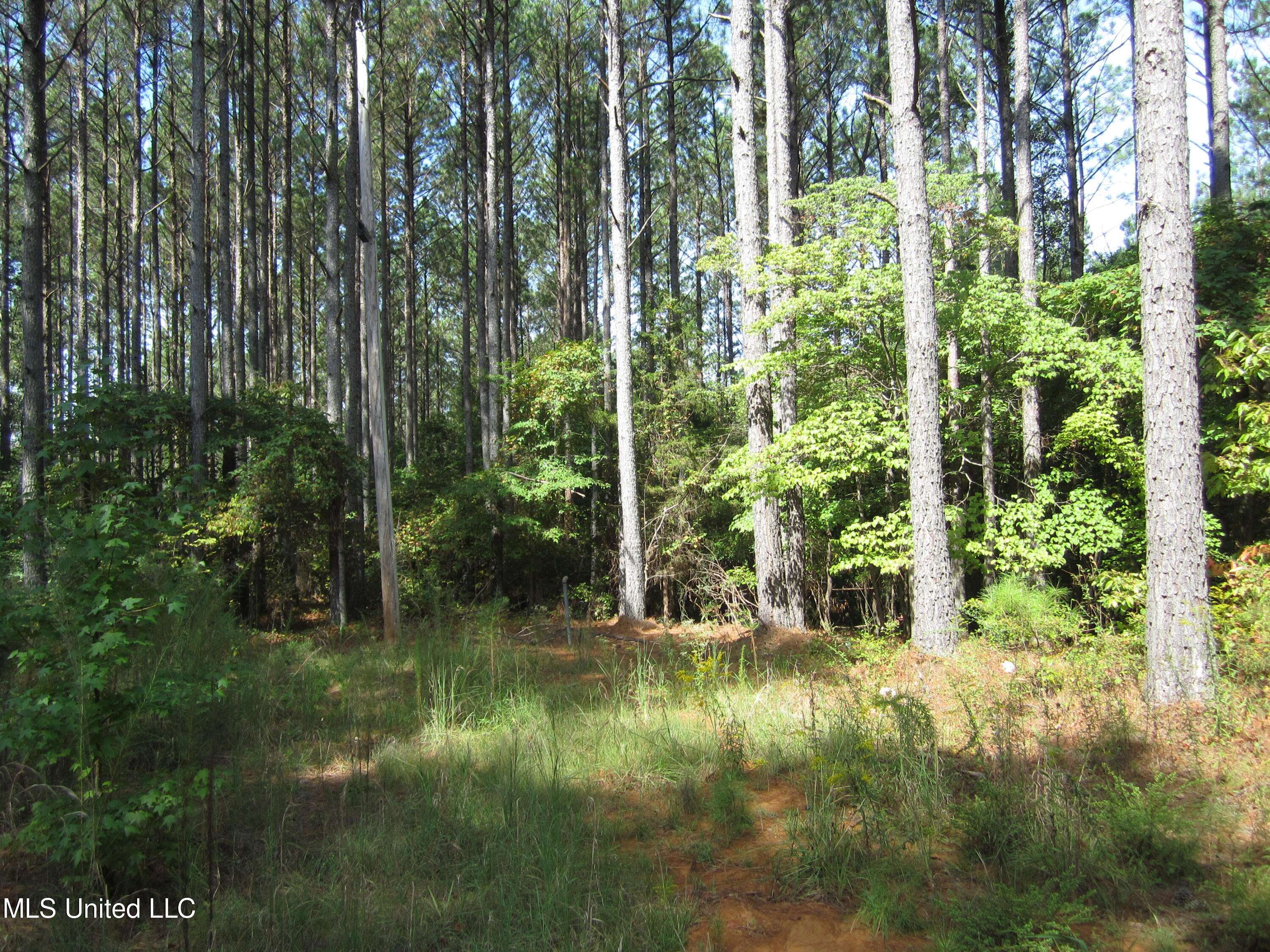 Iuka, MS 38852,Pine Ridge Cove