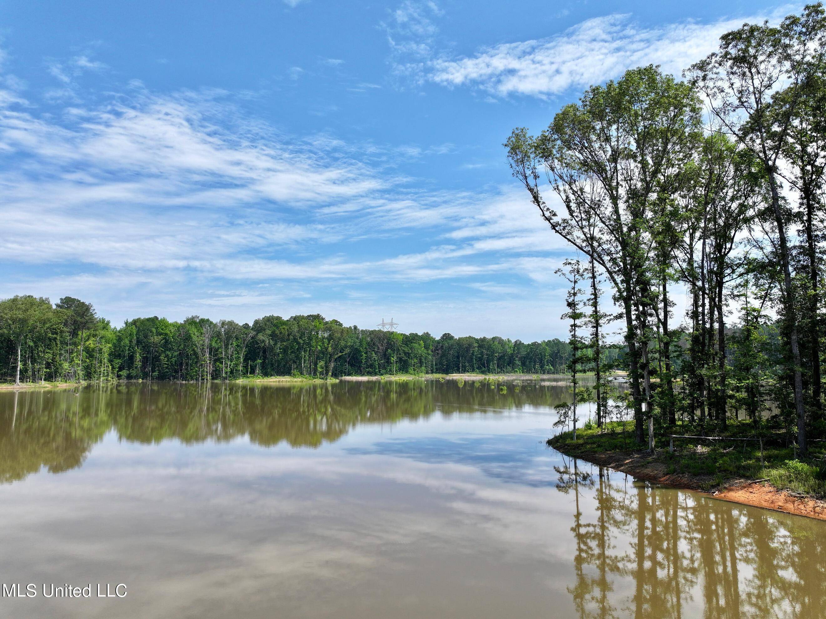 Flora, MS 39071,Springwood Trail